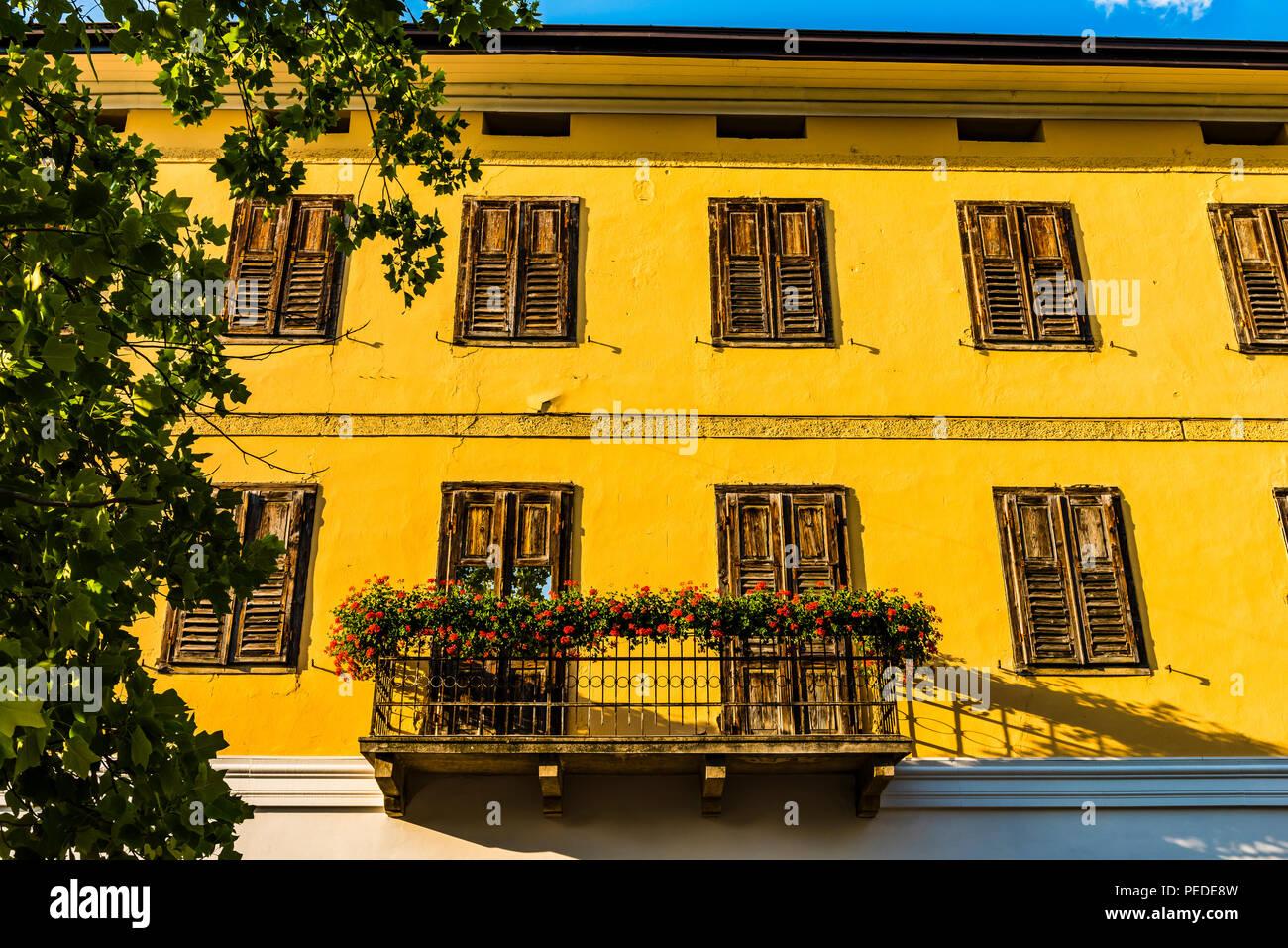 Leuchtend gelbe Fassade in Levico Terme, Trentino, Italien Stockfoto