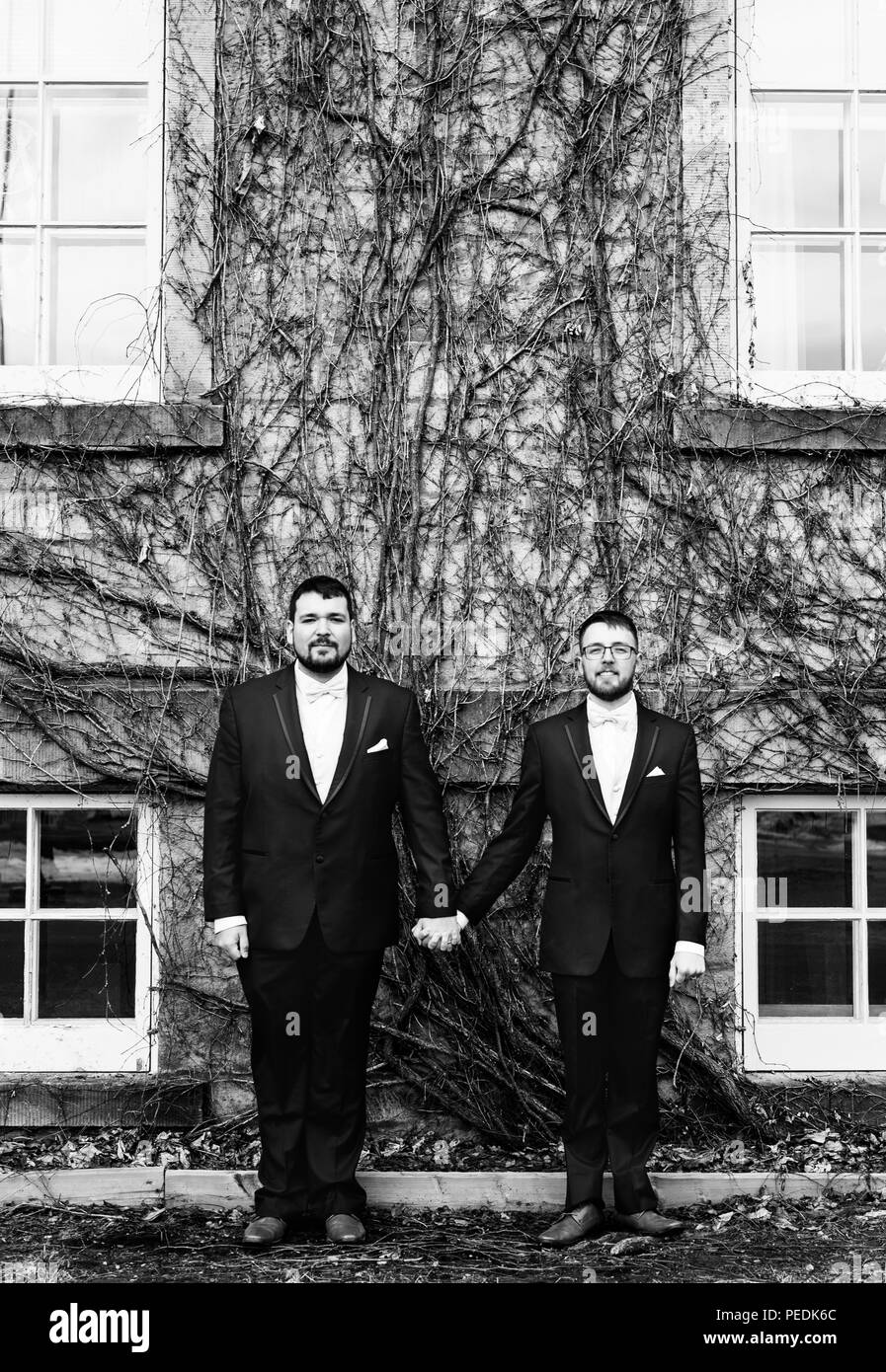 Zwei Männer halten sich an den Händen vor der Reben Stockfoto