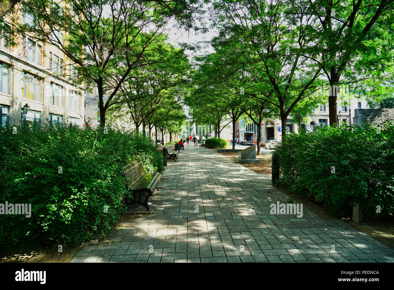 Montreal, Kanada, August 13,2018. d'Youville Park in der Altstadt von Montreal. Credit: Mario Beauregard/Alamy leben Nachrichten Stockfoto