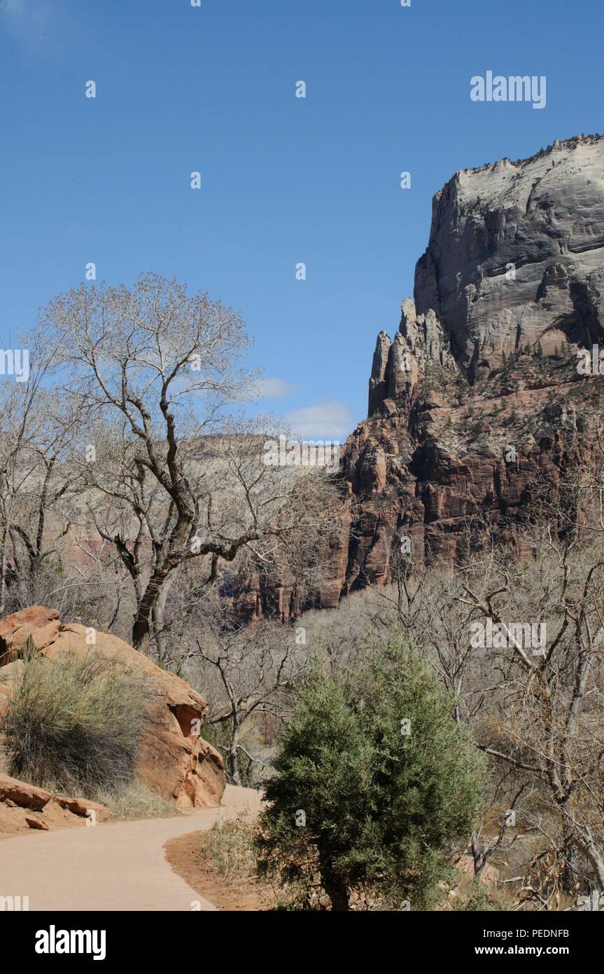 Zion Nationalpark, Utah Stockfoto