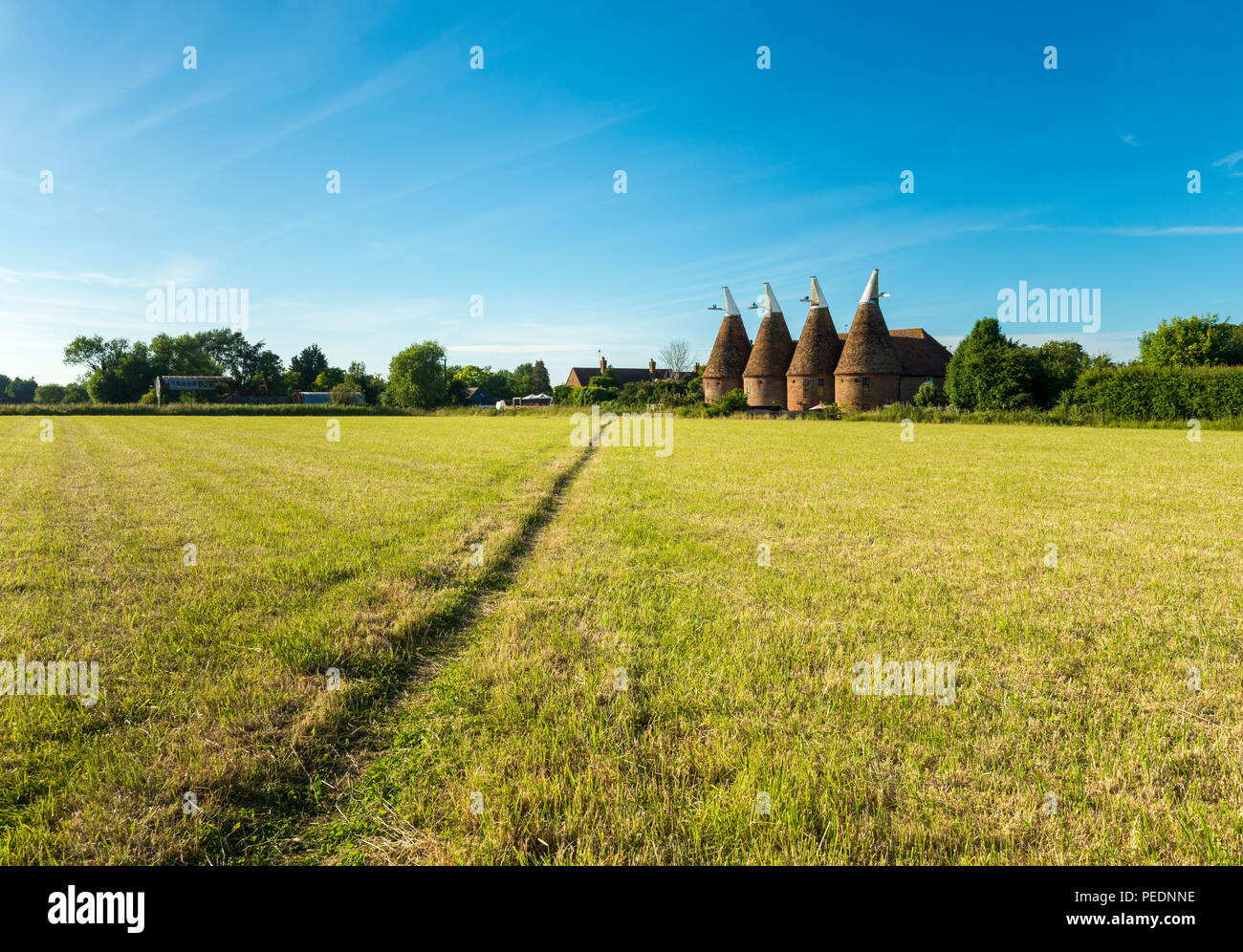 Vier runde Brennofen Oast House im Osten Kent Dorf Ickham. Stockfoto