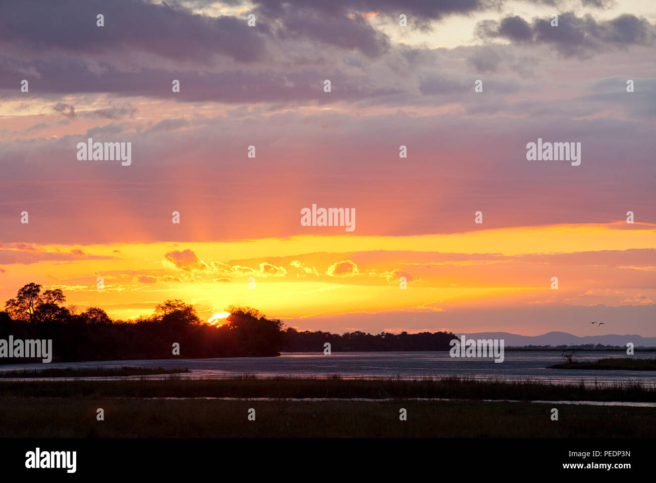 Sonnenaufgang über dem Sambesi Stockfoto