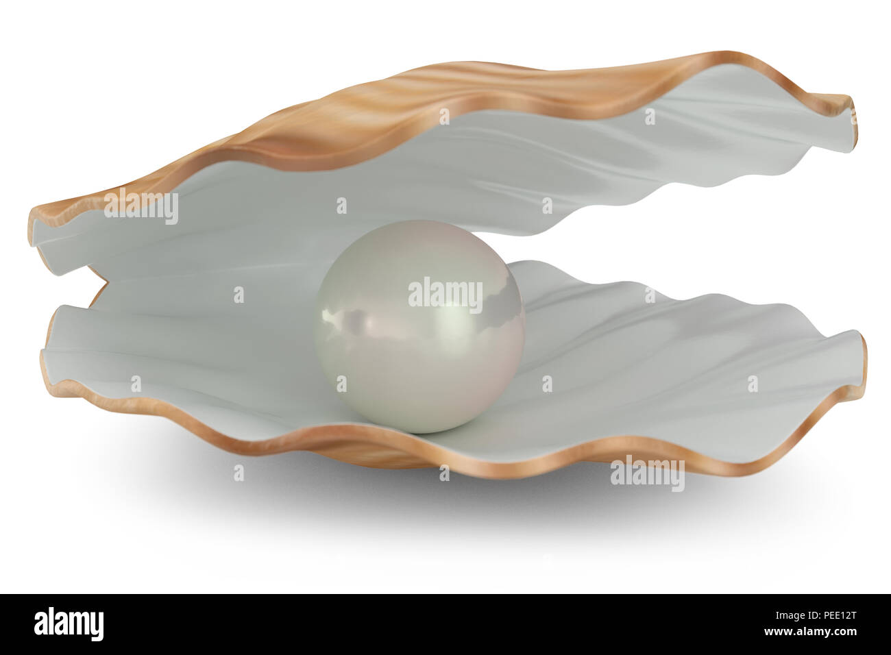 Muschel mit Perle im Inneren. Natürliche offene Pearl shell, 3D-Darstellung Stockfoto