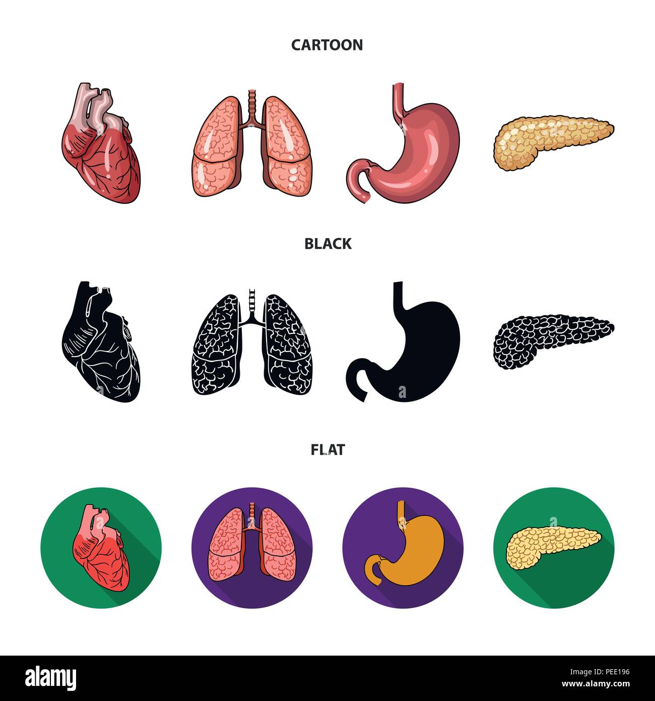 Herz, Lunge, Magen, Bauchspeicheldrüse. Menschliche Organe set Sammlung Icons im Cartoon, schwarz, Flat Style vektor Symbol lieferbar Abbildung. Stock Vektor