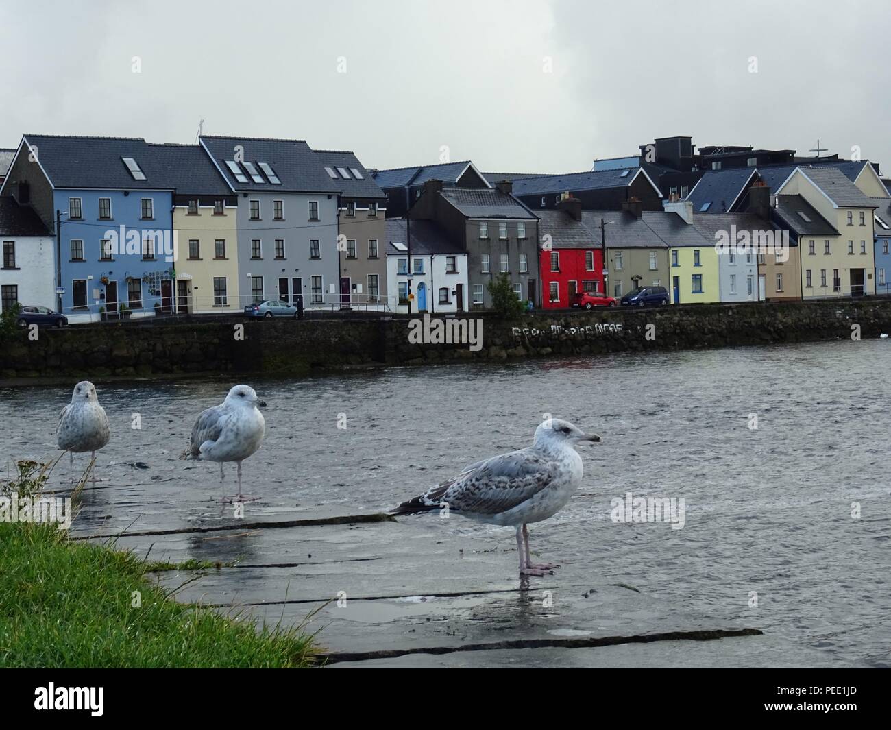 Galway city Fotos und Bildmaterial in hoher Auflösung Alamy