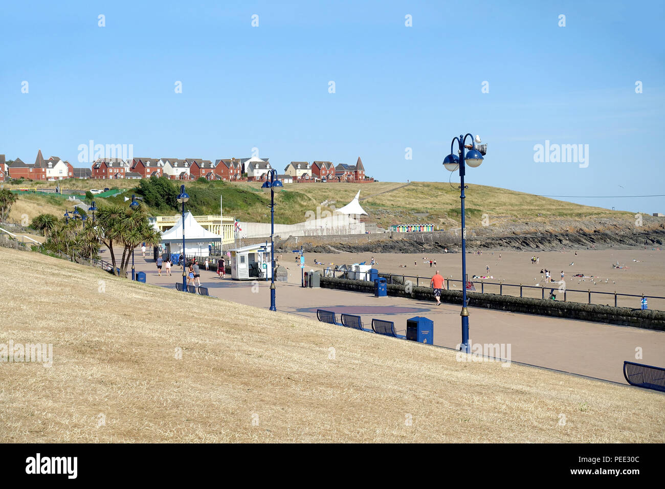 Ausgetrocknete Gras und Rasen bei Barry Island, Wales, auf der Höhe der 2018 Hitzewelle Stockfoto