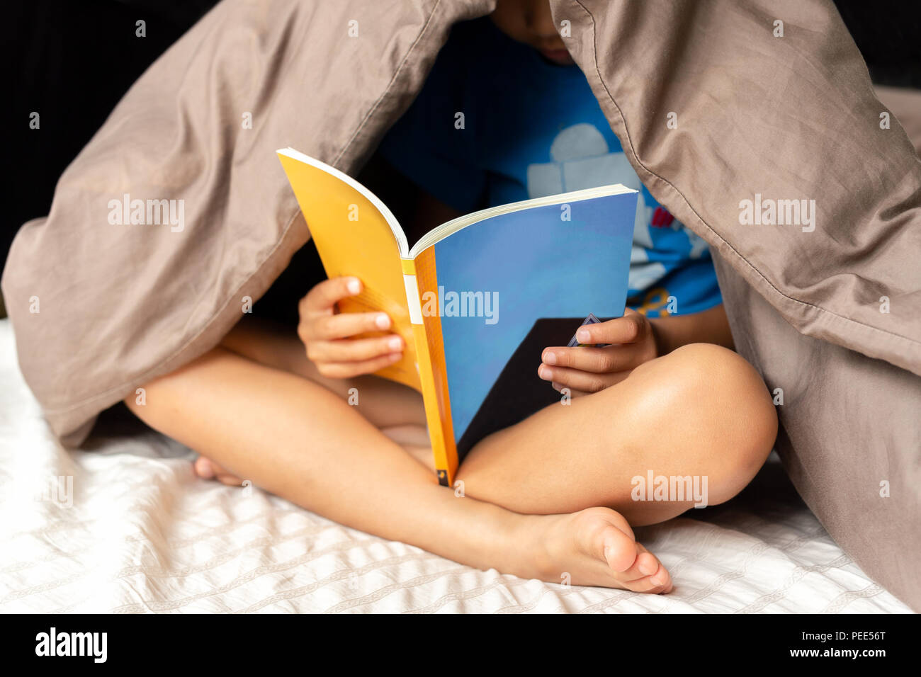Junge liest ein Buch unter der Decke im Bett Stockfoto