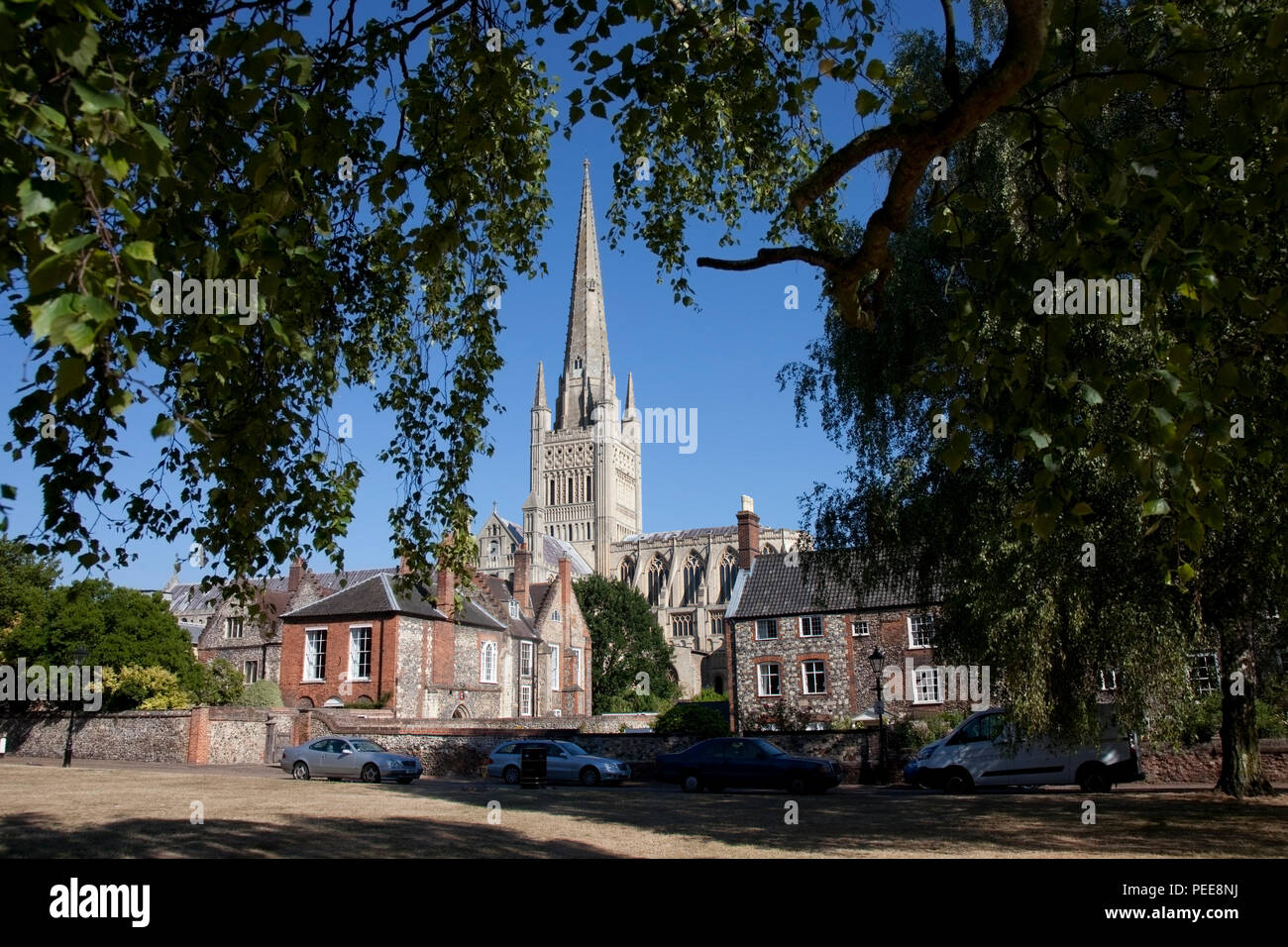 Der hl. Johannes der Täufer Kathedrale, Norwich Stockfoto