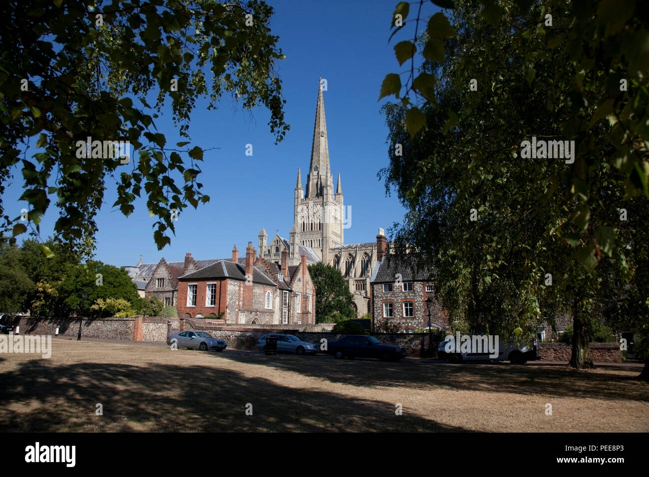 Der hl. Johannes der Täufer Kathedrale, Norwich Stockfoto