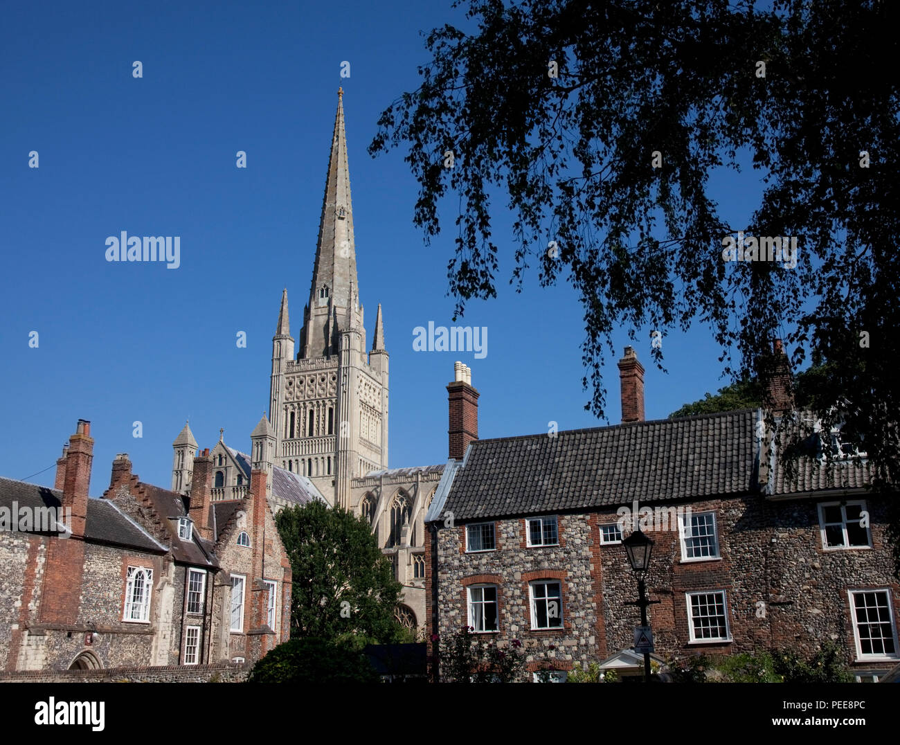 Der hl. Johannes der Täufer Kathedrale, Norwich Stockfoto
