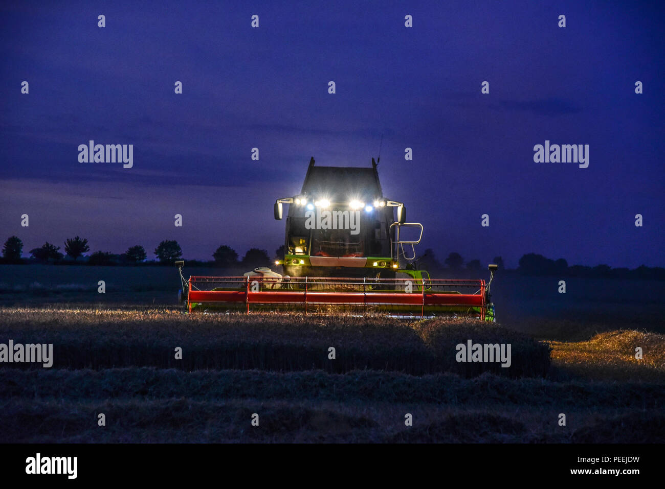 Ein Mähdrescher ernten ein Feld von Mais als die Sonne untergeht, Scheinwerfer auf. Stockfoto
