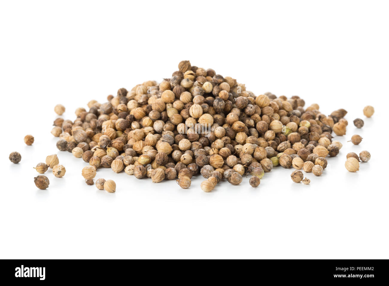 Haufen rohe, unbearbeitete Bio Koriander oder koriander Samen auf weißem Hintergrund Stockfoto