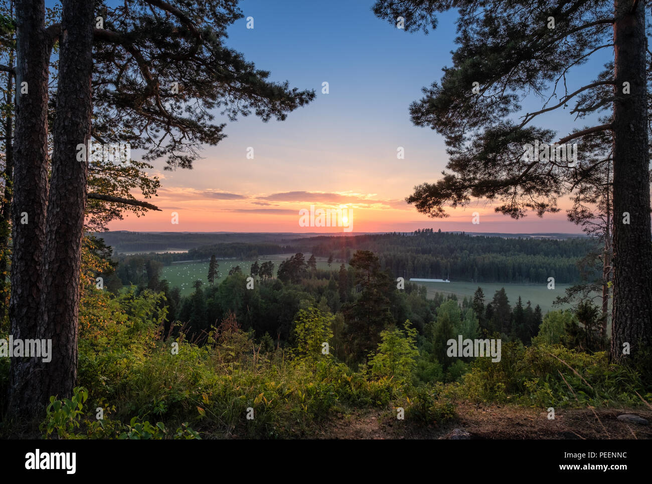 Landschaft Landschaft mit Blick auf den wunderschönen Sonnenuntergang und am Abend Licht im Sommer in Finnland Stockfoto