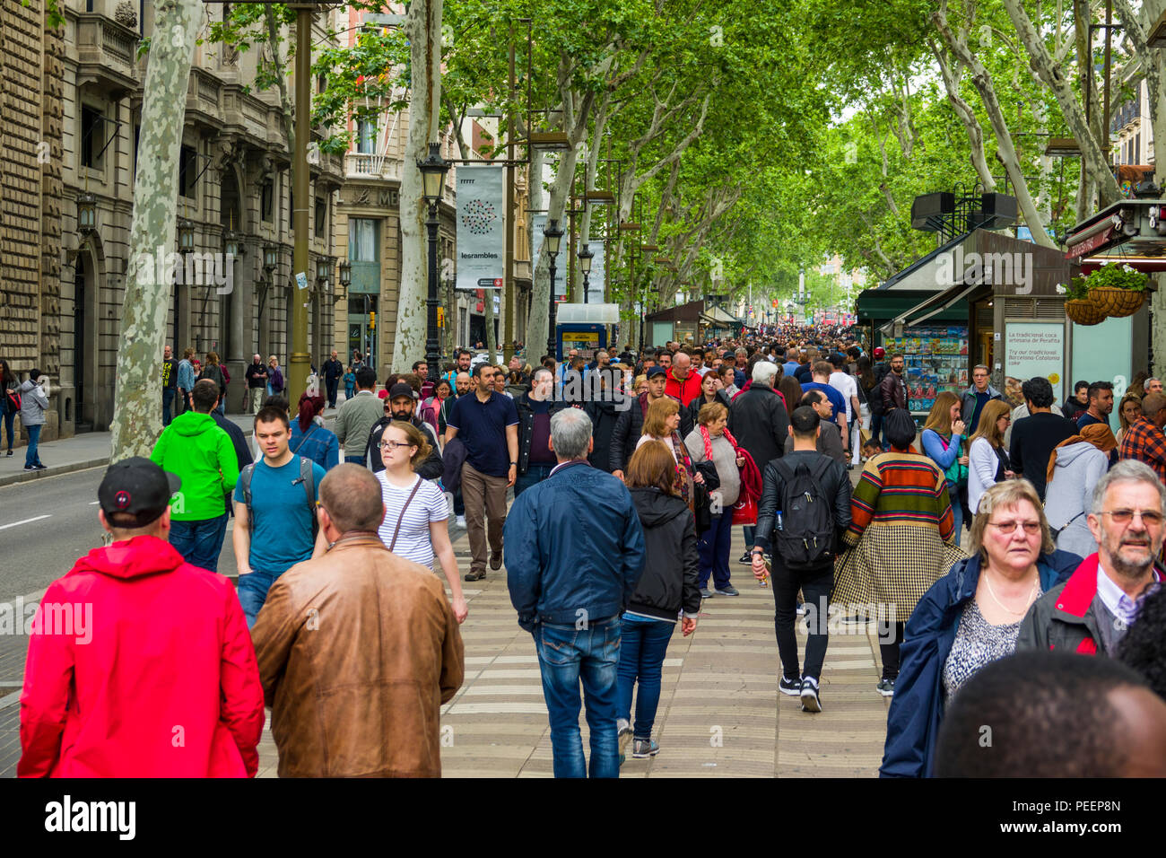 Las Ramblas Barcelona Spanien, die kosmopolitische Hauptstadt der spanischen Region Katalonien, ist bekannt für ihre Kunst und Architektur. Die fantastische Sagrada Família Stockfoto