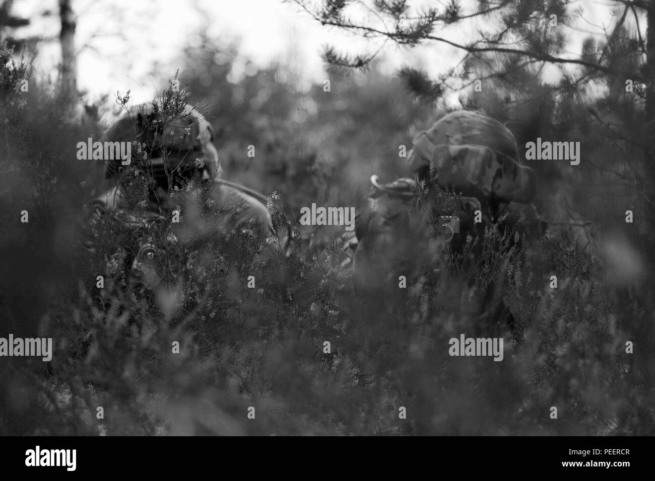 US-Armee Pfc. Jared Thomason, links, 20-Year-Old gebürtig aus Grand Pass, Oregon/USA, und Pvt. Markeil Daniel, 19-Year-Old gebürtig aus Dallas, Texas, Infanteristen, Dog Company, 4. US-Infanteriedivision, 1. Bataillon, 503. Infanterieregiment, 173. Infantry Brigade Combat Team (Airborne) zugewiesen bieten Sicherheit für eine Landezone während des Trainings Ulanen Fury, eine bilaterale Ausbildungsmission mit Hund Co. NATO-Partner , Litauisch Landstreitkräfte, Großherzogin Birutė Ulanen Bataillon (BUB) an den General Silvestras Zlikaliskas Trainingsbereich, Pabrade, Litauen, 12. August 2015. Diese Fortbildungsveranstaltung wird verbessert Stockfoto