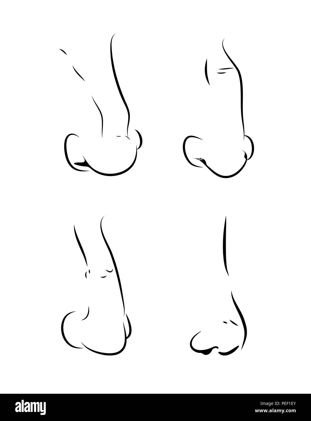 Menschliche Nase Grobentwurf auf weißem Hintergrund Stock Vektor