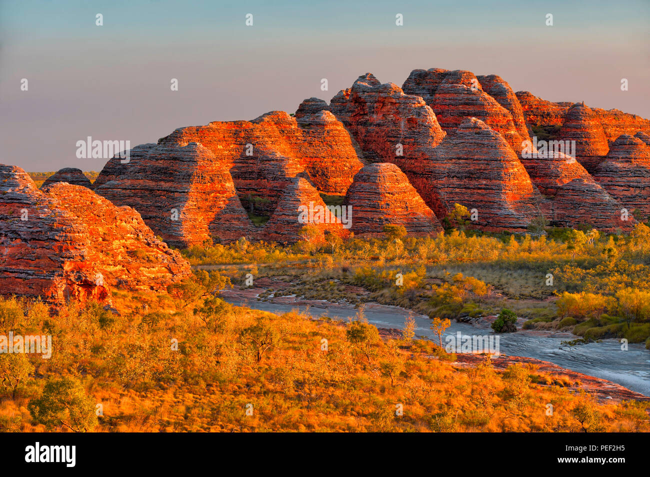 Bienenstöcke und Piccaninny Creek im warmen Abendlicht, Bungle Bungles Nationalpark, Northern Territories, Australien Stockfoto