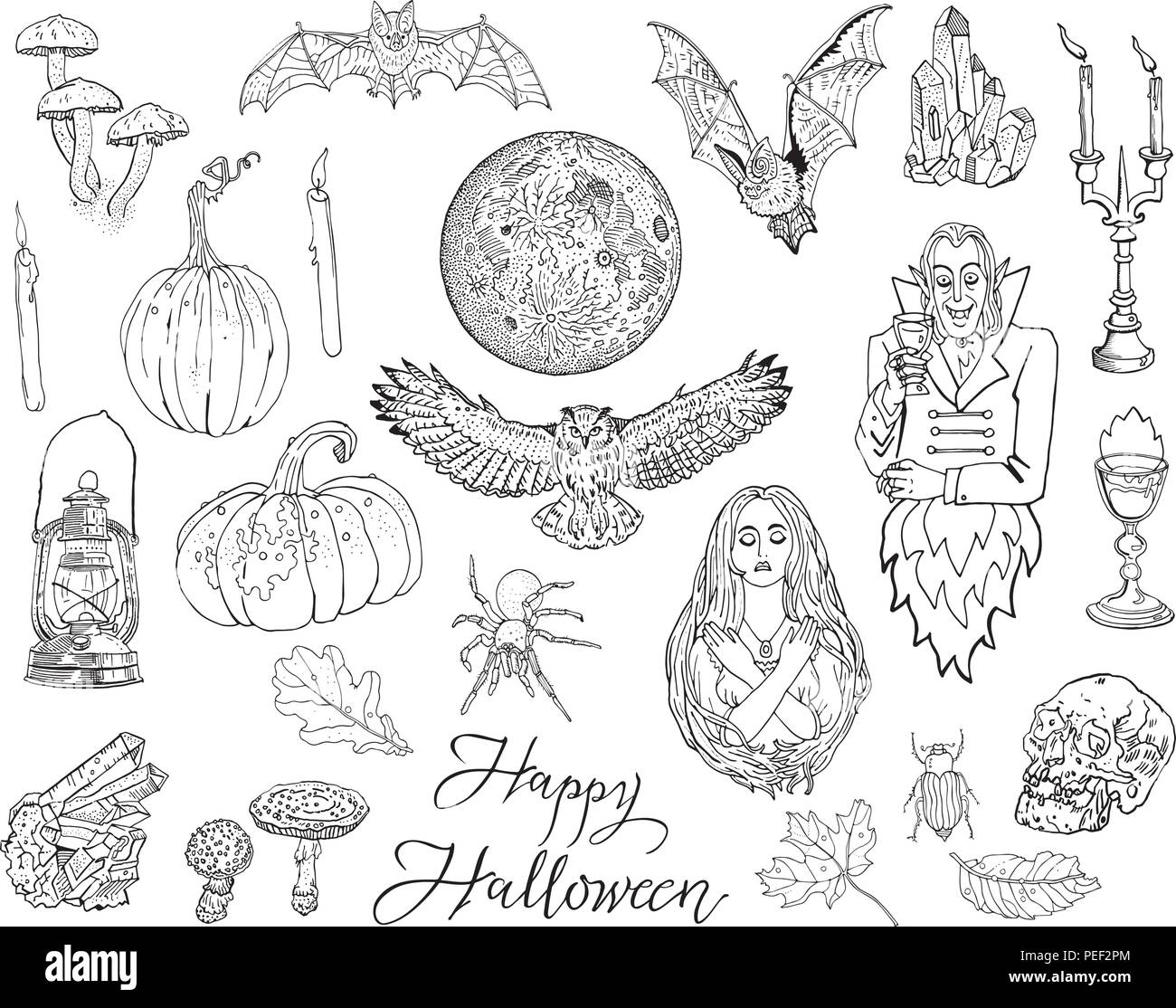 Halloween, Herbst, Magie, Gothic, Fantasy doodle Symbole, isolierte Objekte, schwarz auf weiß. Kürbis, Kerze, Kelch, Herbstblätter, Fledermaus, Spinne, Vollmond, Laterne, Pilze, Eule, Crystal, Vampir. Stock Vektor