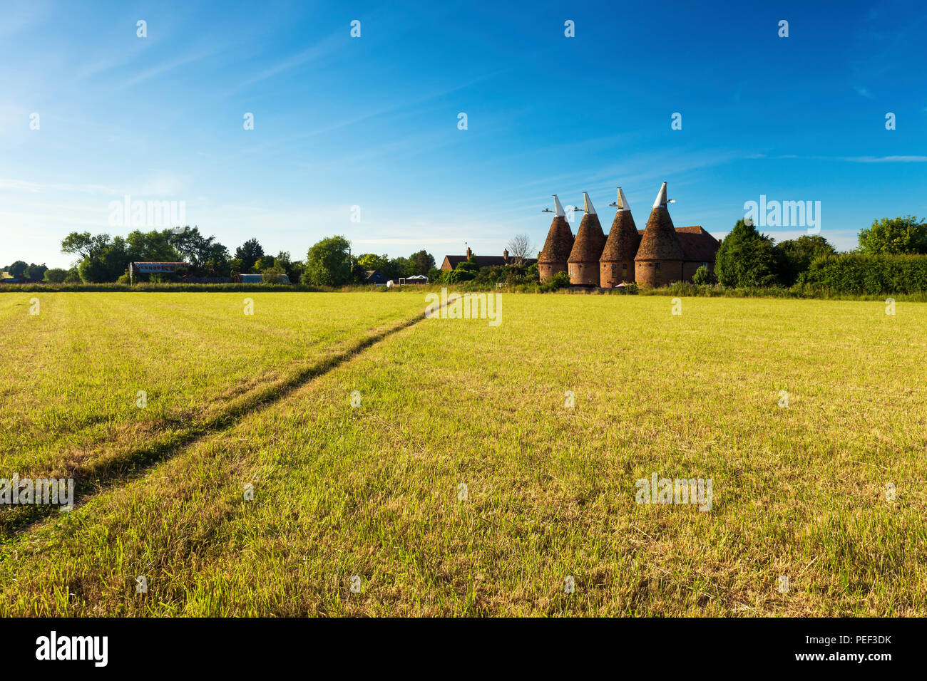 Vier runde Brennofen Oast House im Osten Kent Dorf Ickham. Stockfoto