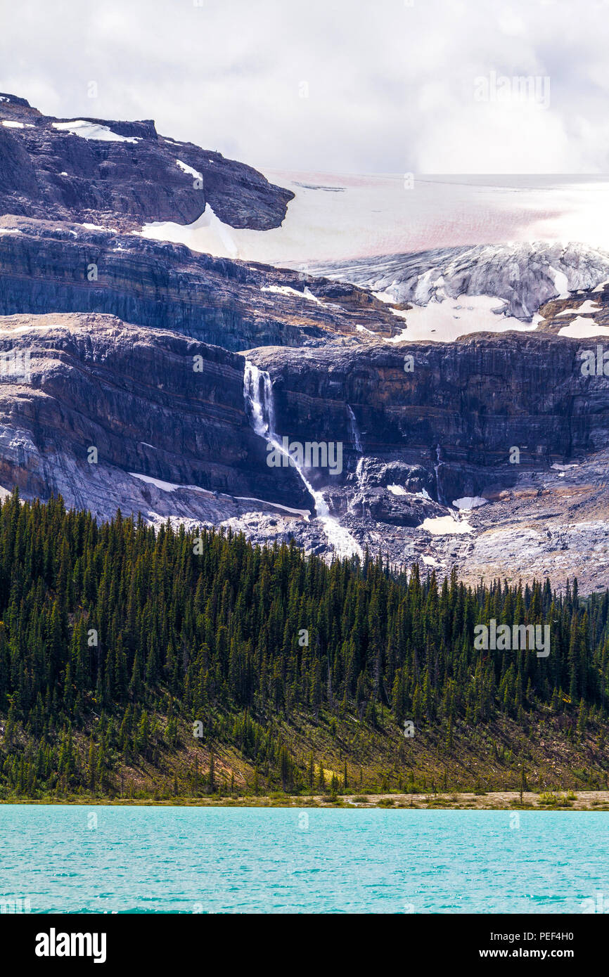 Bug Gletscher mit Wasserfällen und Bow Lake im Banff National Park, Alberta, Kanada. Bug Gletscher ist ein Abfluss Glacier aus wapta Icefield entlang der Stockfoto