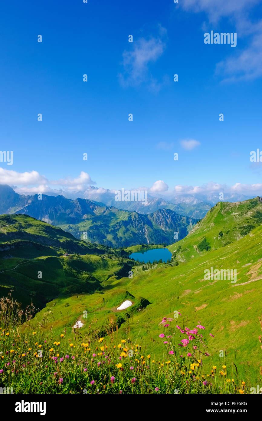 See Seealpsee, Blick aus dem Zeigersattel auf dem Nebelhorn, Allgäuer Alpen, Oberstdorf, Oberallgäu, Allgäu, Schwaben, Bayern Stockfoto