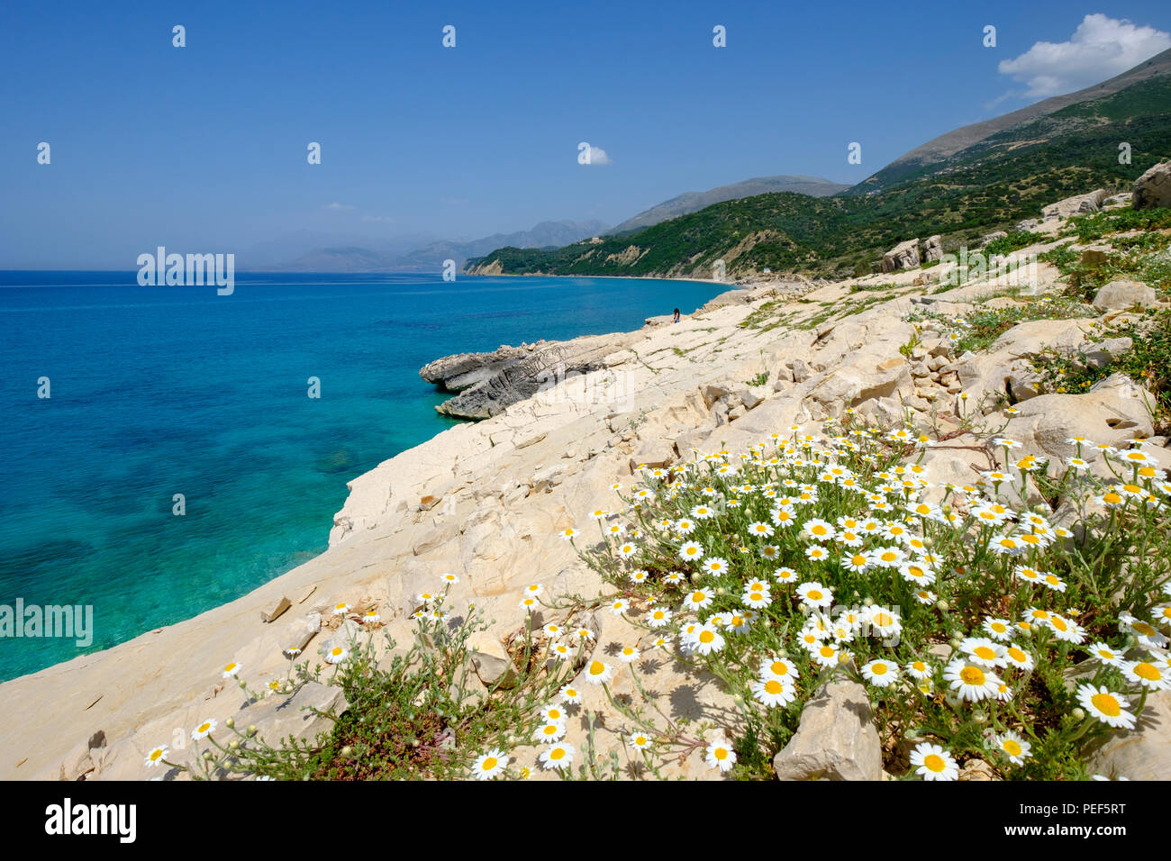 Küste südlich von Lukova, Albanischen Riviera, qark Vlora, Albanien Stockfoto
