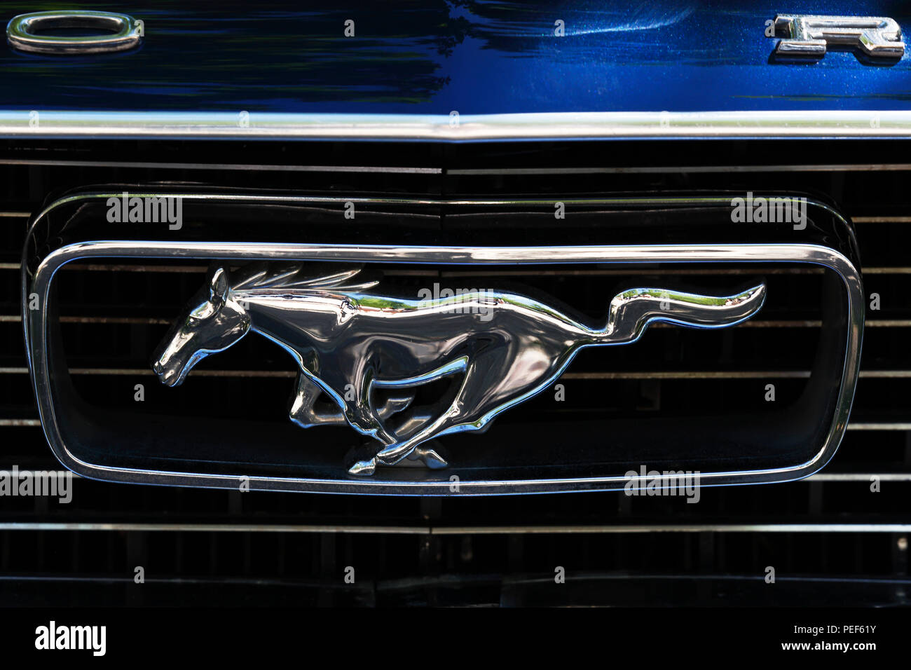 Vintage Ford Mustang, Emblem, Vorderansicht, Deutschland Stockfoto