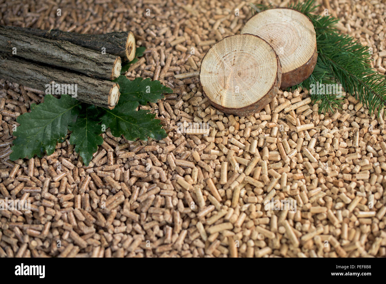 Zwei verschiedene raumbeleuchtungen von Holz- pellets aus nachwachsenden Rohstoffen - Eichen und Pinien Stockfoto