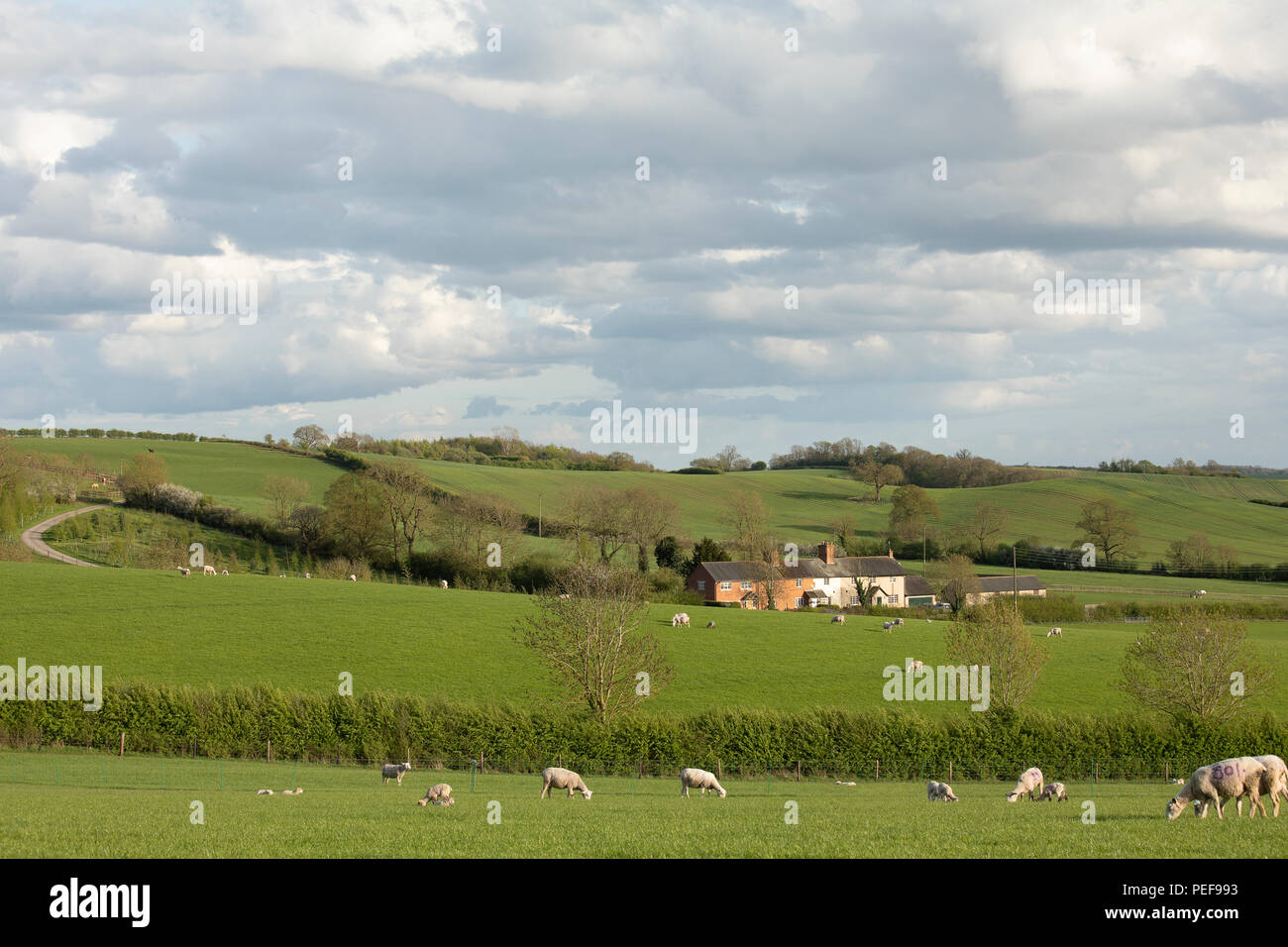 Ein Bild von remote Country Cottages in der Landschaft von Leicestershire, England, Großbritannien Stockfoto