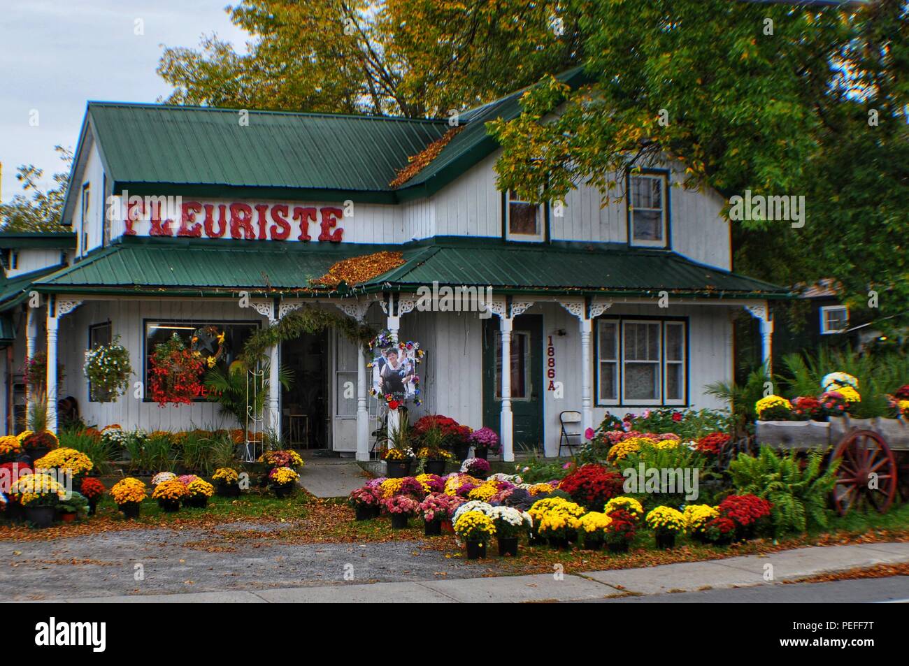 Schöne Farben eines Flower Shop Stockfoto