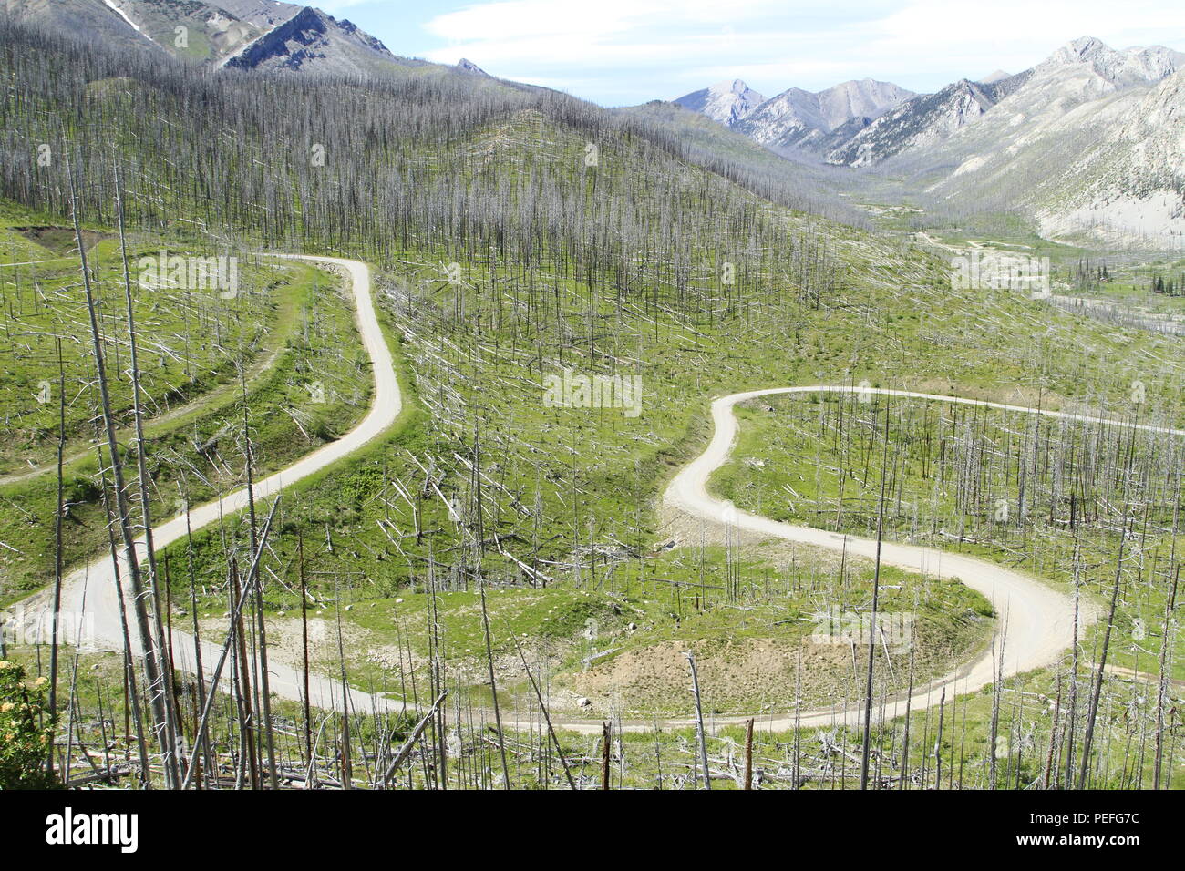 Straße in die West Fork Trailhead, Rocky Mountain Front, Montana, USA Stockfoto