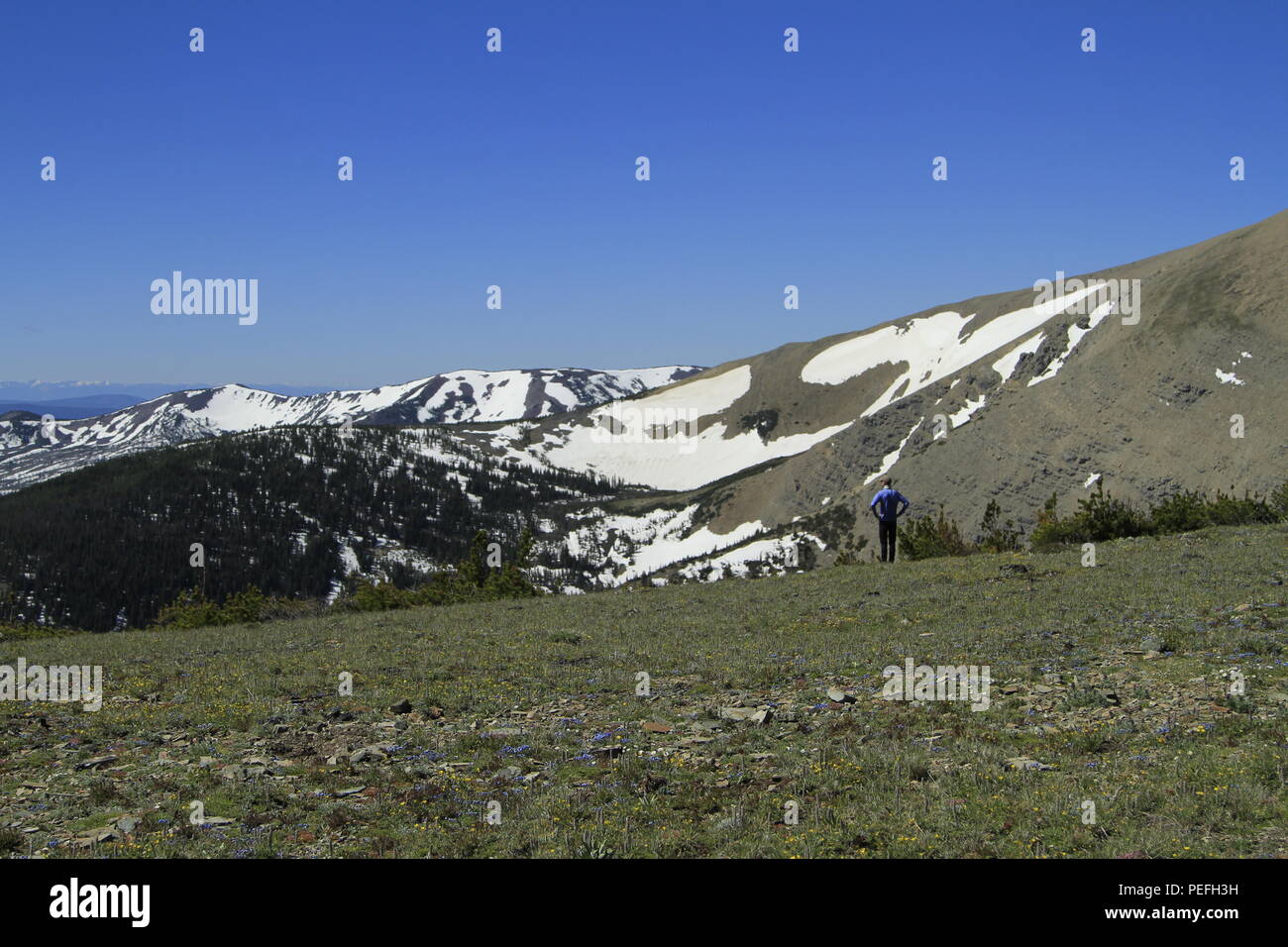 Red Mountain, Sündenbock Wildnis, Montana, USA Stockfoto