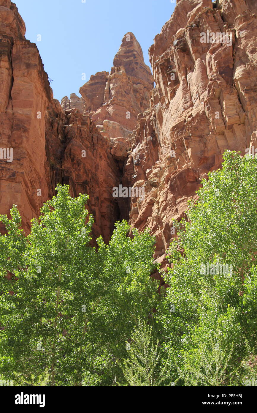 Dark Canyon Wilderness, Bären Ohren National Monument, Utah Stockfoto