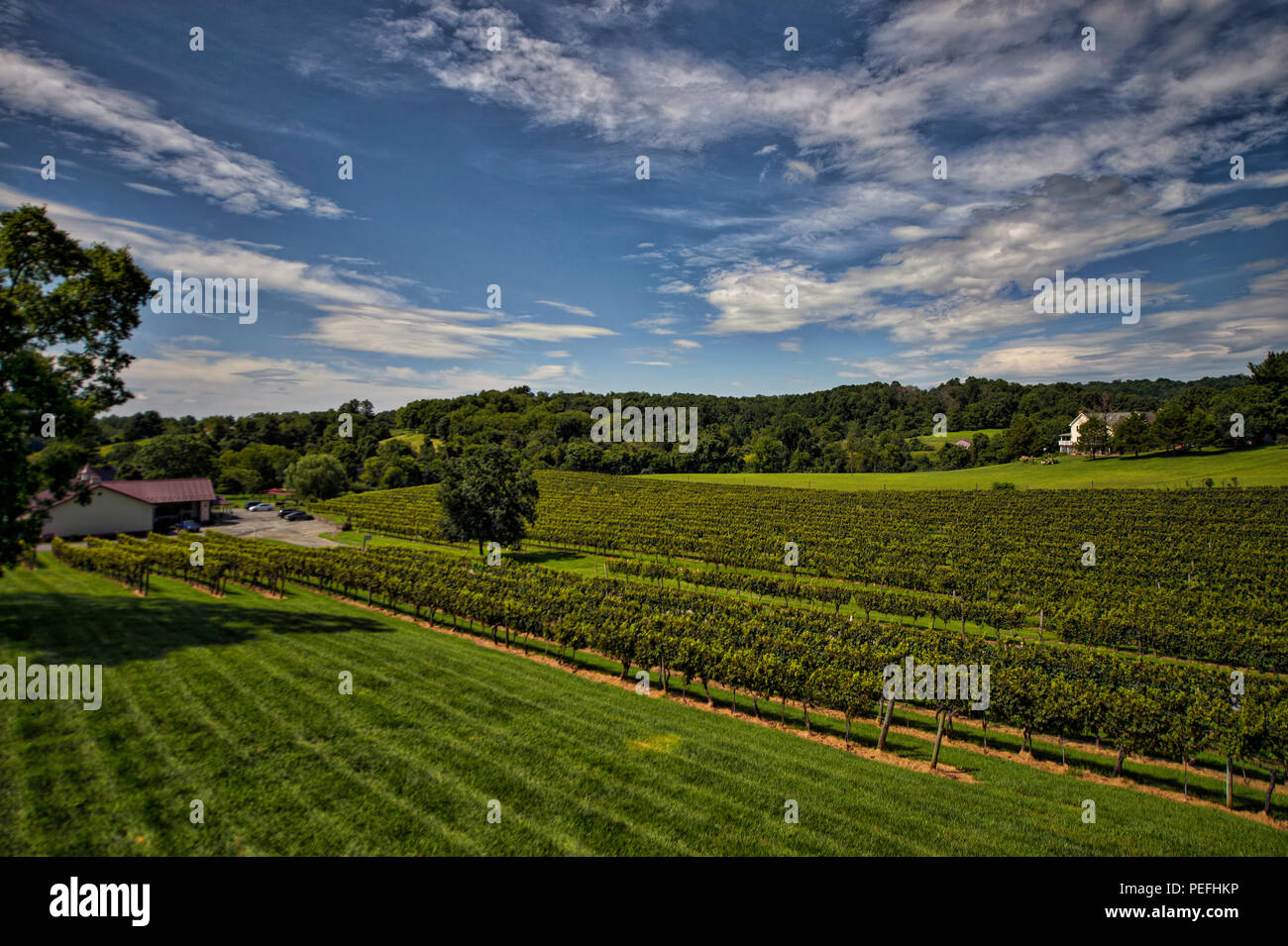 Usa: 14.August 2018: Pearmund Keller liegt in den wunderschönen Ausläufern der östlichen Fauquier County, Va und ist verkehrsgünstig in der Nähe der nördlichen Stockfoto