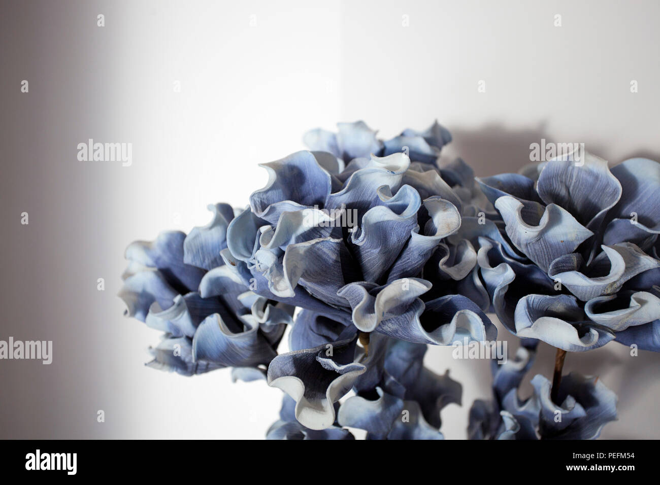 Dekorative Floristik - zeitgenössische Schönheit in Pastell-blaue Farbtöne Stockfoto