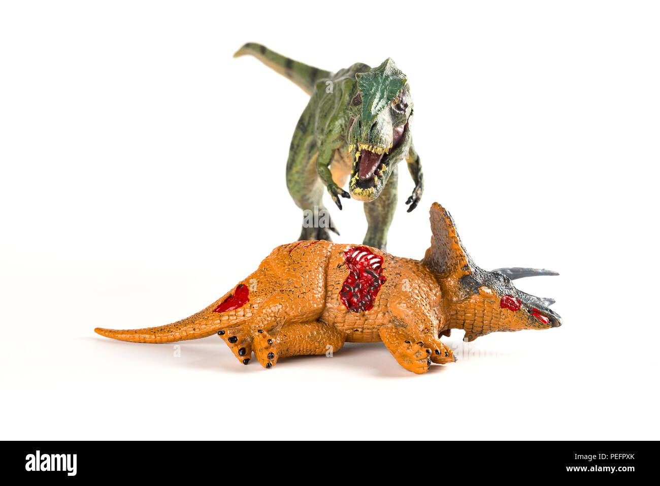 Vorderansicht mit einem tyrannosaurus Triceratops Körper in der Nähe auf weißem Hintergrund Stockfoto