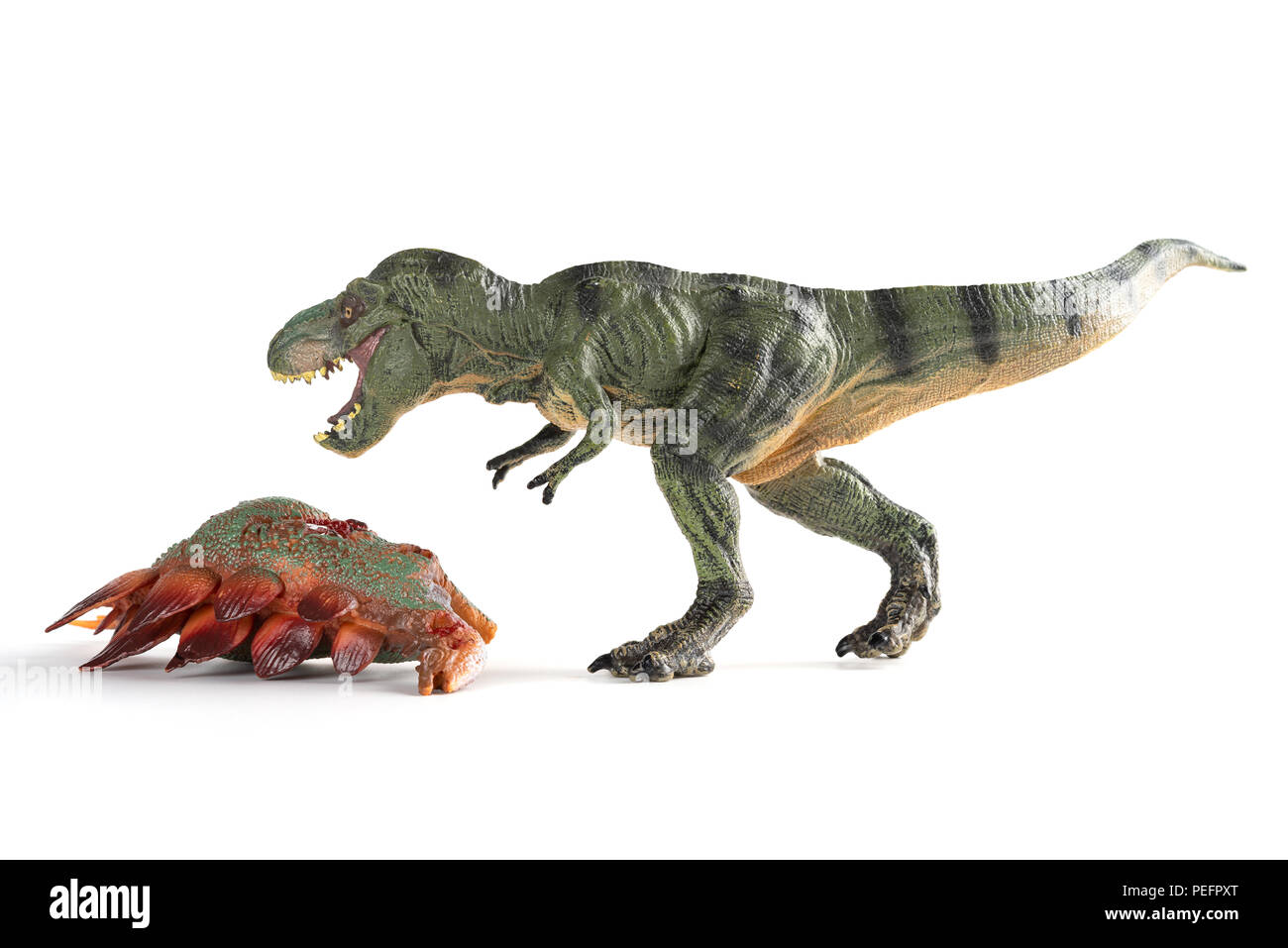 Vorderansicht tyrannosaurus mit einem stegosaurus Körper in der Nähe auf weißem Hintergrund Stockfoto