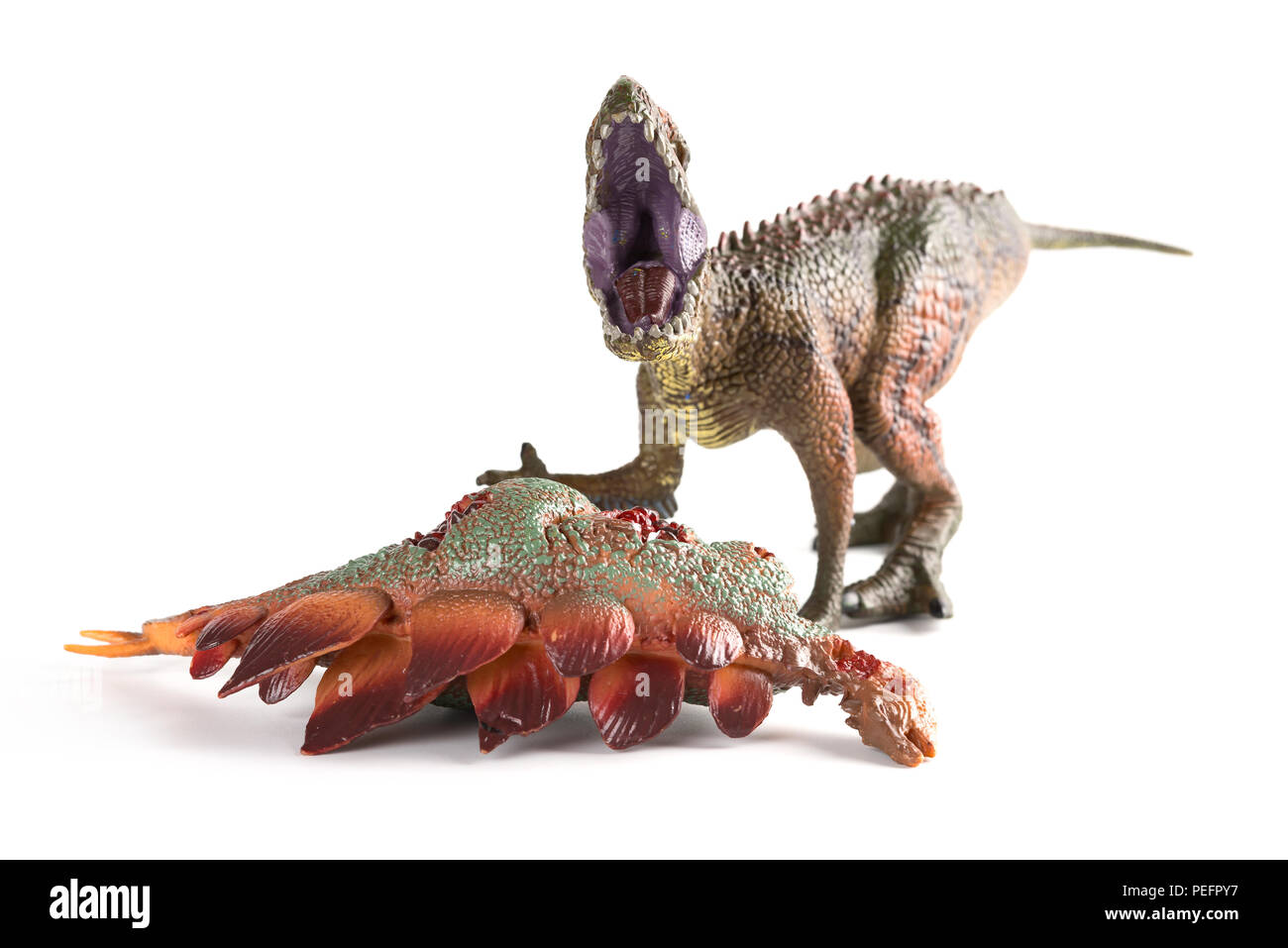 Vorderansicht Carcharodontosaurus mit einem stegosaurus Körper in der Nähe auf weißem Hintergrund Stockfoto