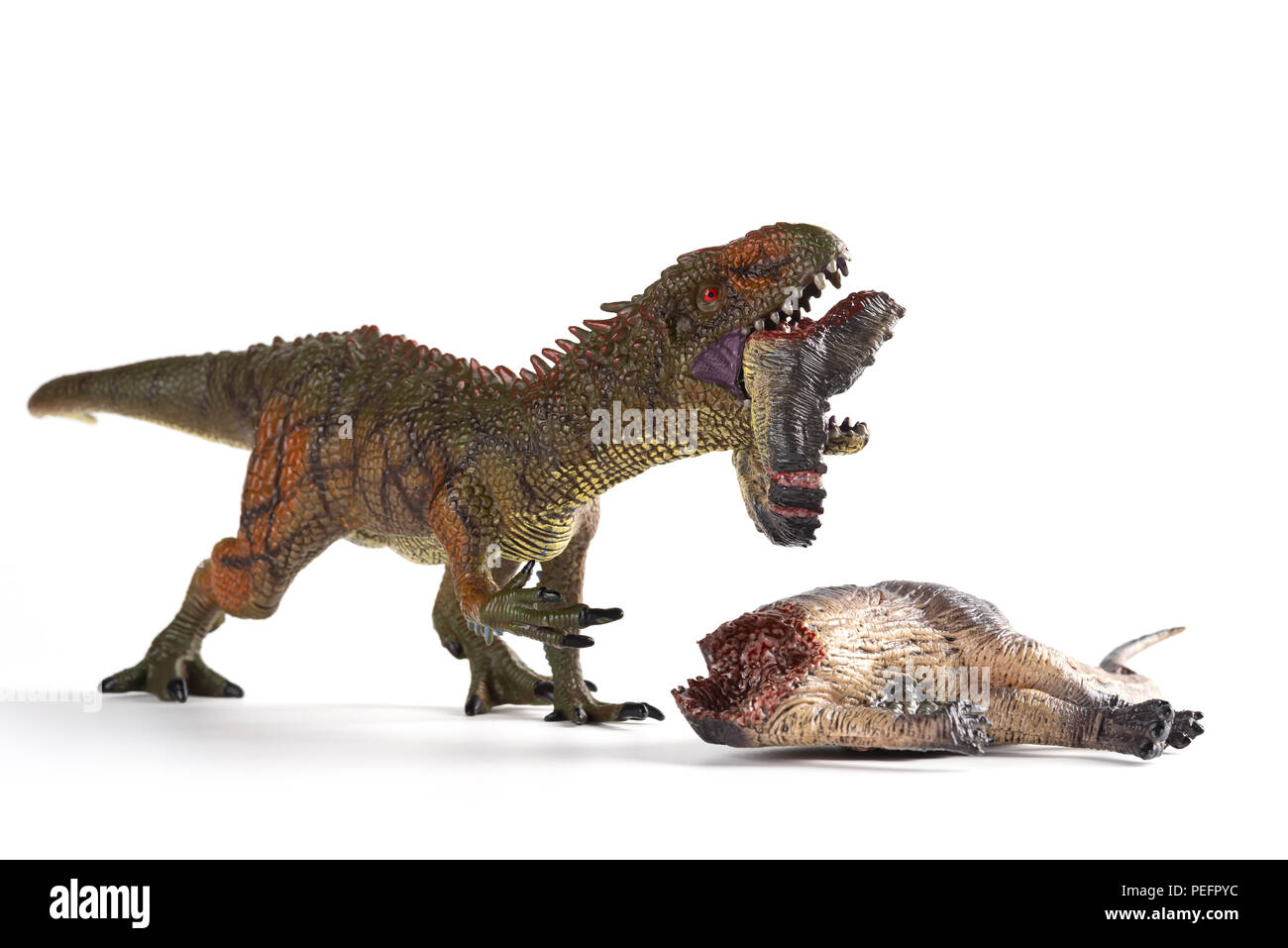 Carcharodontosaurus beißen ein Dinosaurier Körper mit Blut auf weißem Hintergrund Stockfoto