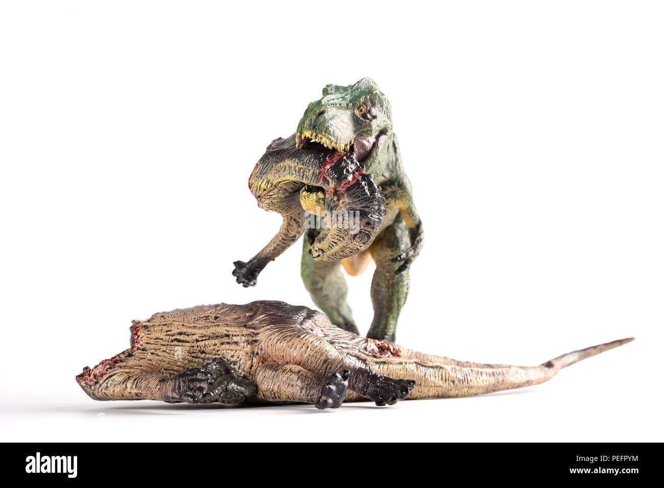 Vorderansicht tyrannosaurus Beißen ein Dinosaurier Körper auf weißem Hintergrund Stockfoto