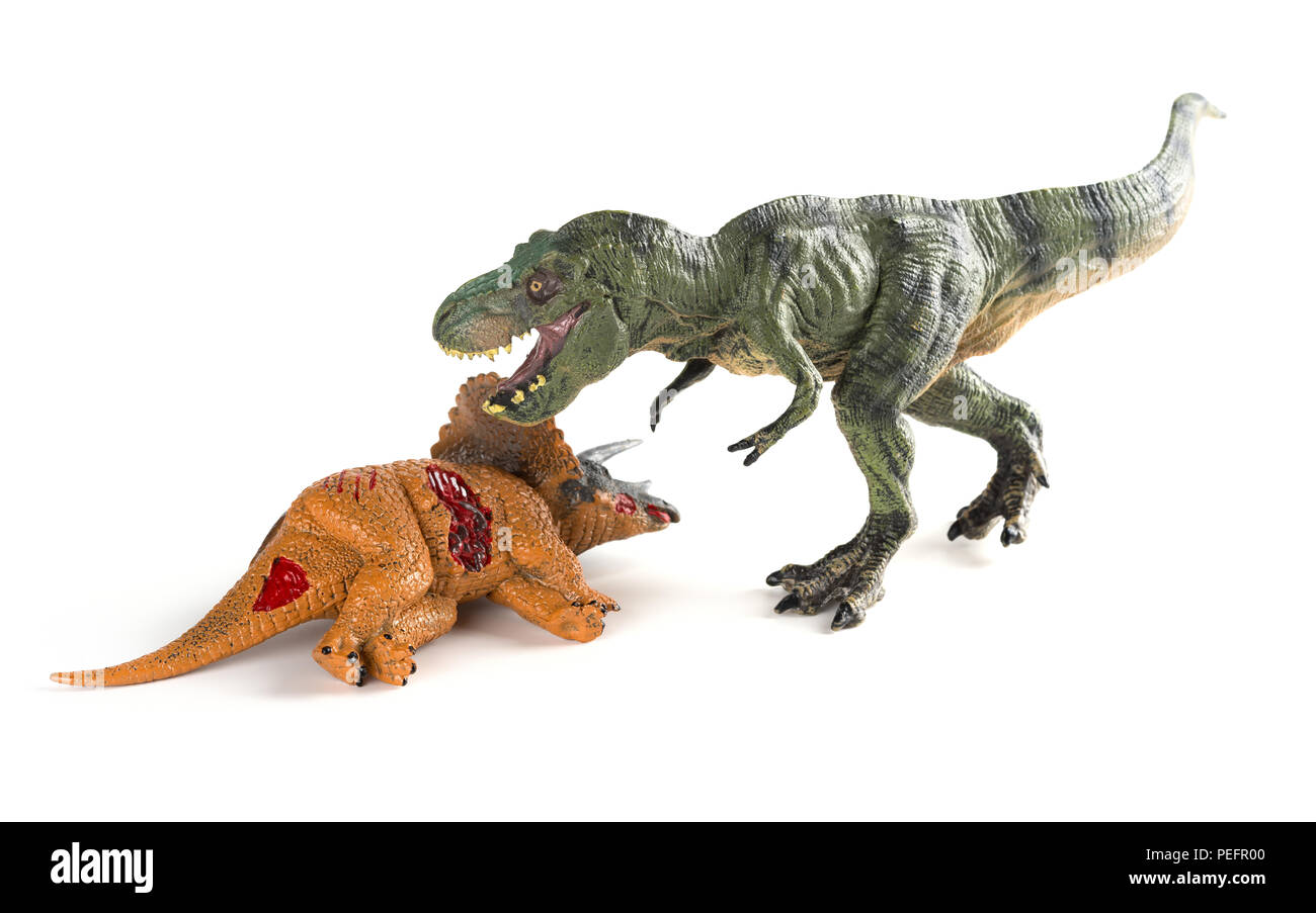 Mit einem tyrannosaurus Triceratops Körper in der Nähe auf weißem Hintergrund Stockfoto