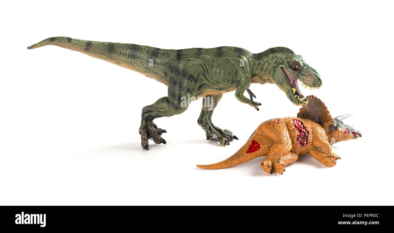 Mit einem tyrannosaurus Triceratops Körper in der Nähe auf weißem Hintergrund Stockfoto