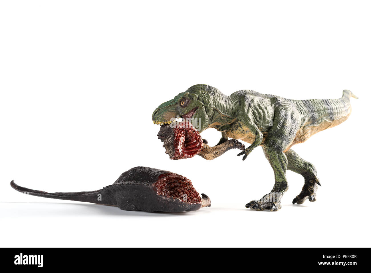 Tyrannosaurus beißen ein Dinosaurier Körper auf weißem Hintergrund Stockfoto