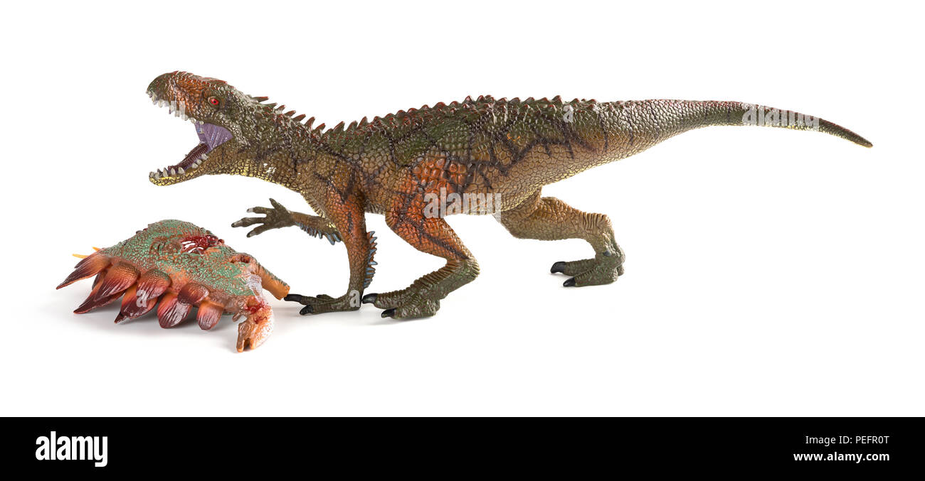 Carcharodontosaurus mit einem stegosaurus Körper in der Nähe auf weißem Hintergrund Stockfoto