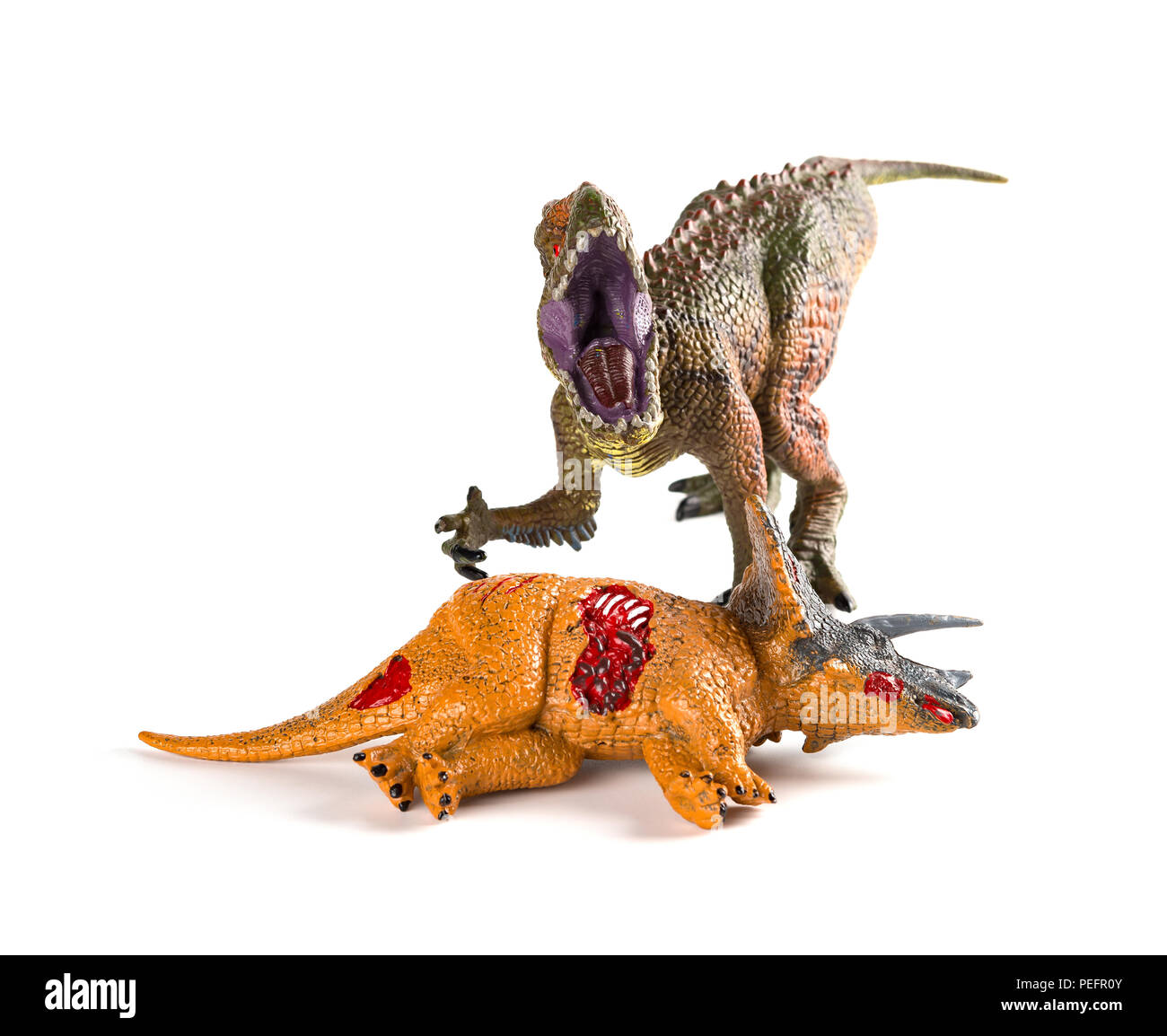 Vorderansicht Carcharodontosaurus mit einem triceratops Körper in der Nähe auf weißem Hintergrund Stockfoto