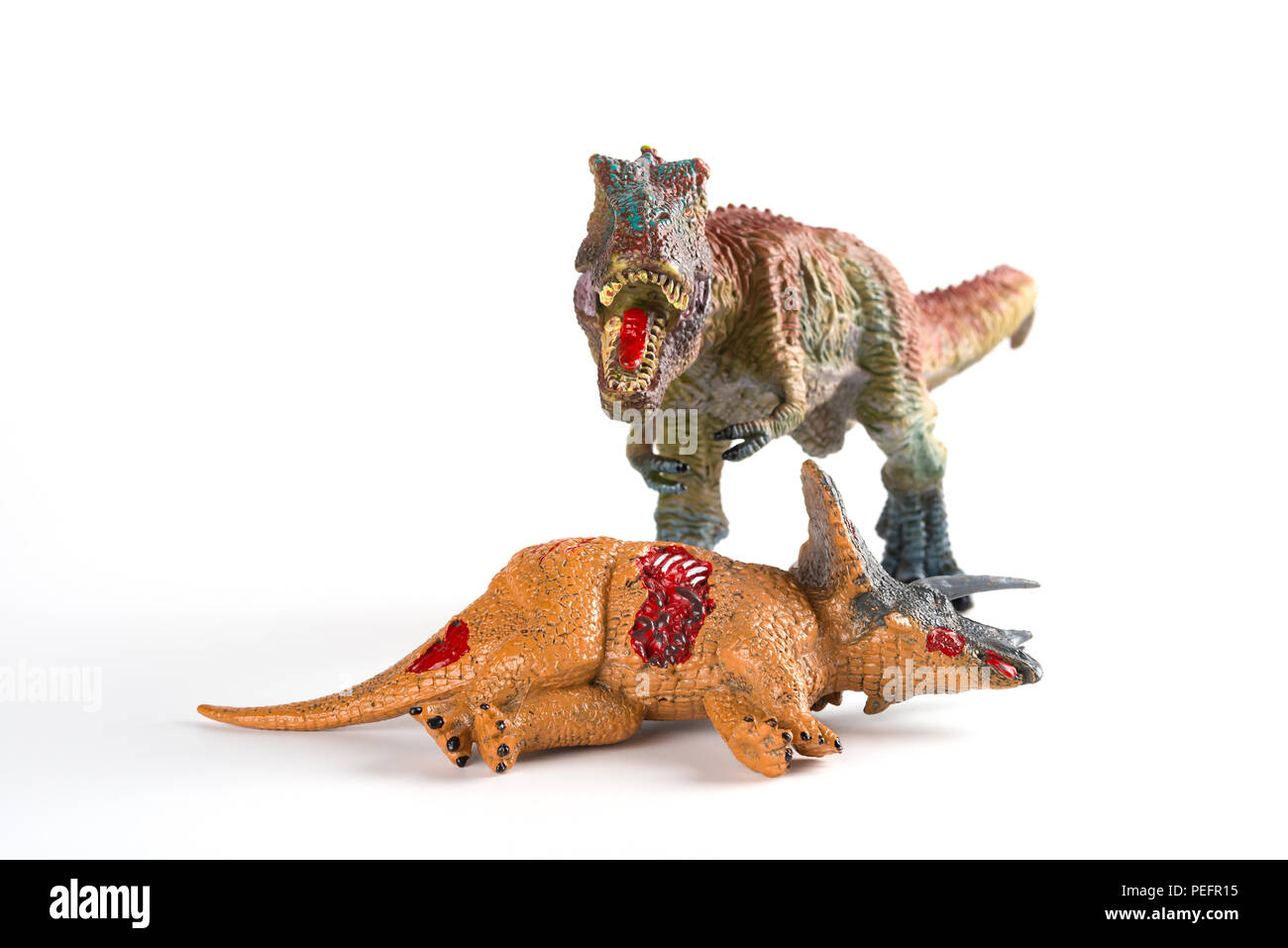 Vorderansicht mit einem tyrannosaurus Triceratops Körper in der Nähe auf weißem Hintergrund Stockfoto