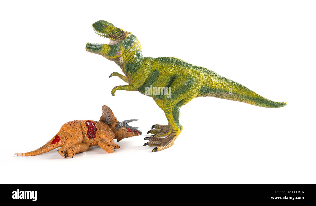 Mit einem tyrannosaurus Triceratops Körper in der Nähe auf weißem Hintergrund Stockfoto