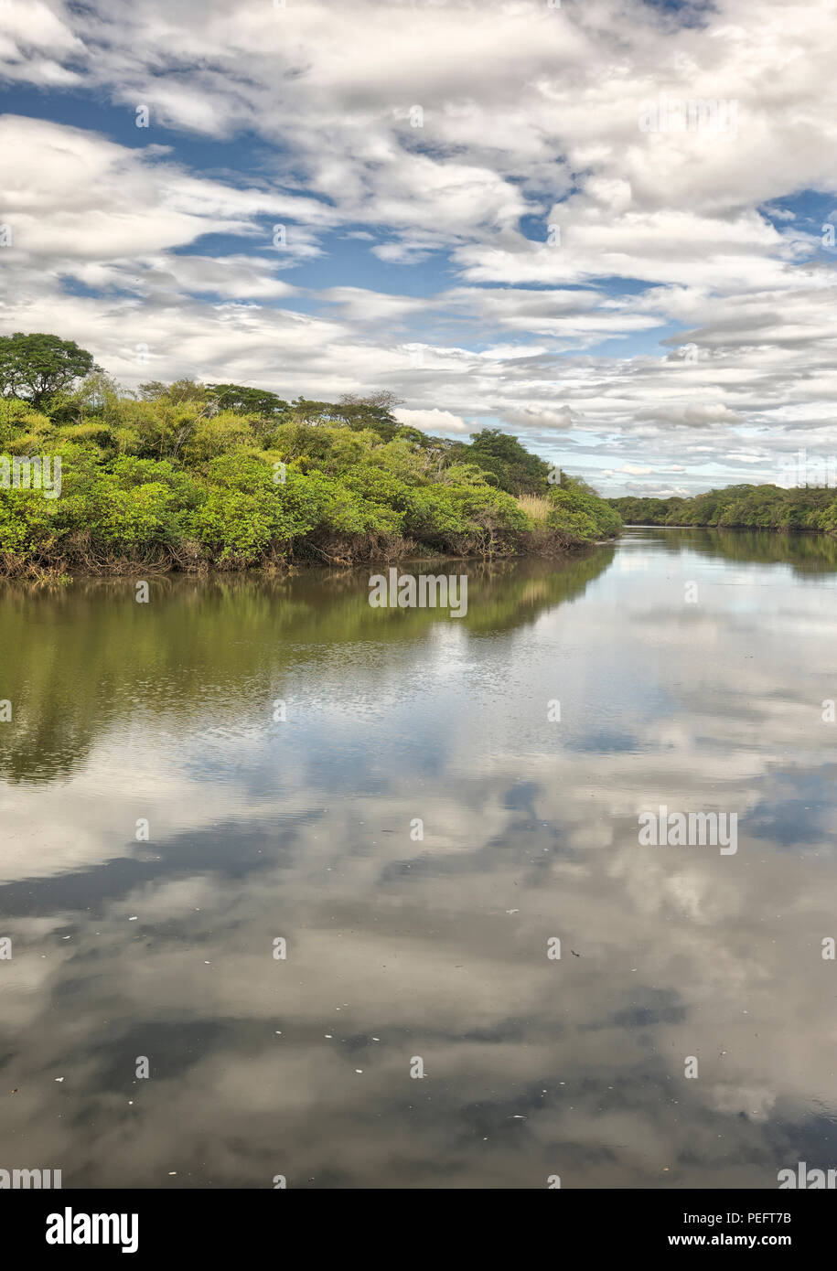 Tempisque River, Nationalpark Palo Verde, Costa Rica Stockfoto