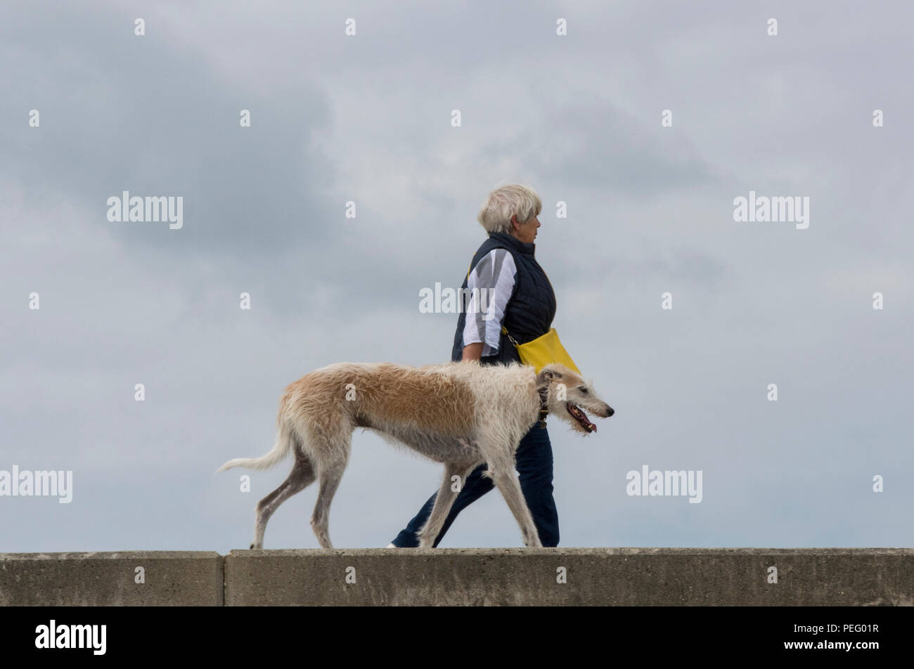 Eine Frau, die zu Fuß einen großen Hund entlang einer Sea Wall auf der Insel Wight. Irish Wolfhound. Stockfoto