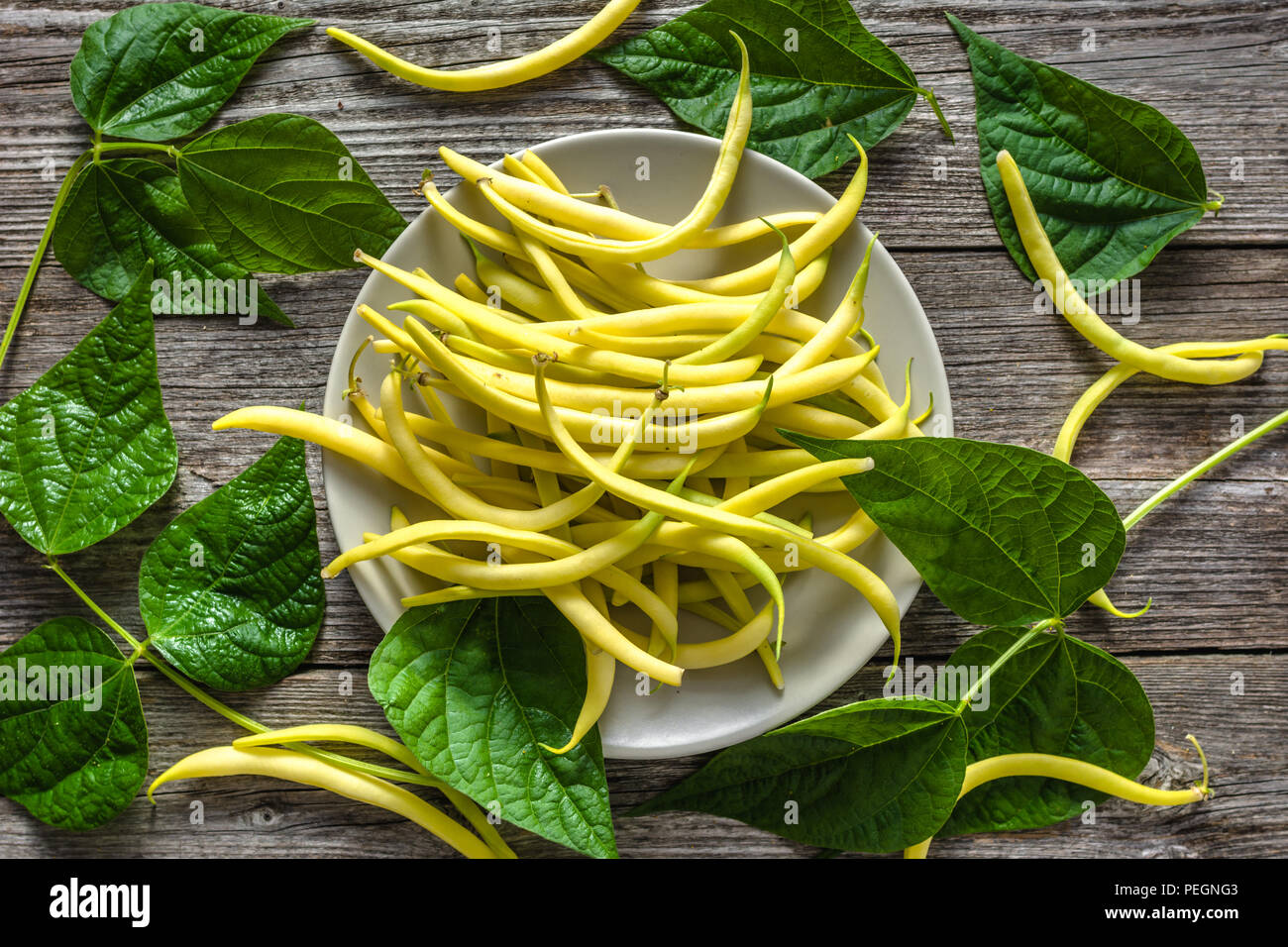 Frische Bohnen, organisches Gemüse zu kochen, frisch geernteten Garten  produzieren, gelbe Bohnen auf Platte, Overhead Stockfotografie - Alamy